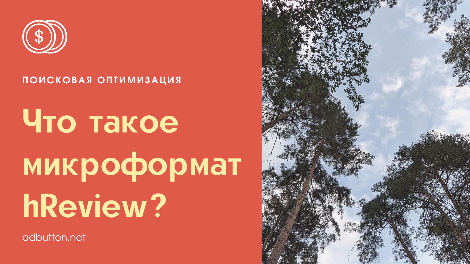 Что такое микроформат hReview и как он влияет оптимзацию в Яндекс?