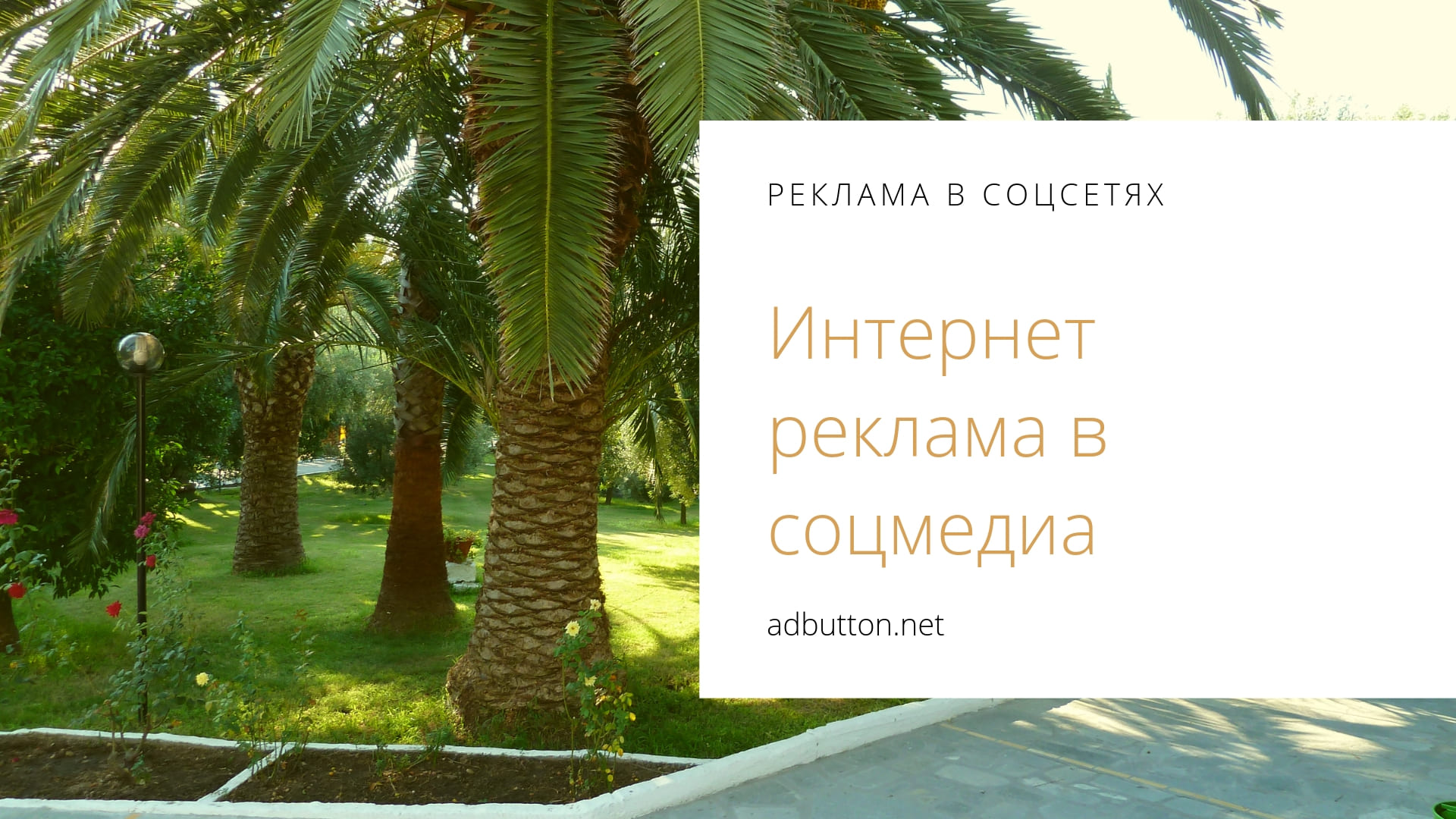 Реклама в социальных сетях: настройка, анализ и выбор сети Реклама в социальных сетях: настройка, анализ и выбор сети