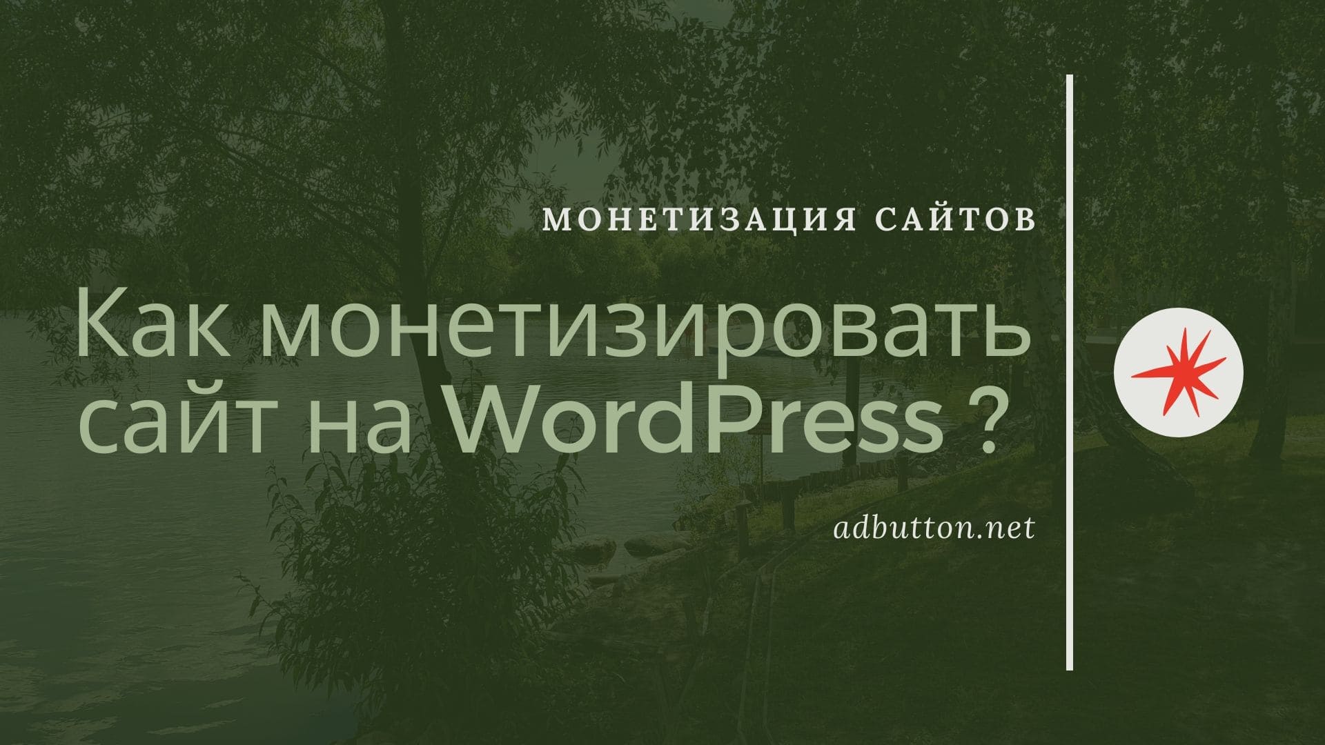 Монетизация сайта на WordPress: продажа ссылок, партнерки и реклама Монетизация сайта на WordPress: продажа ссылок, партнерки и реклама