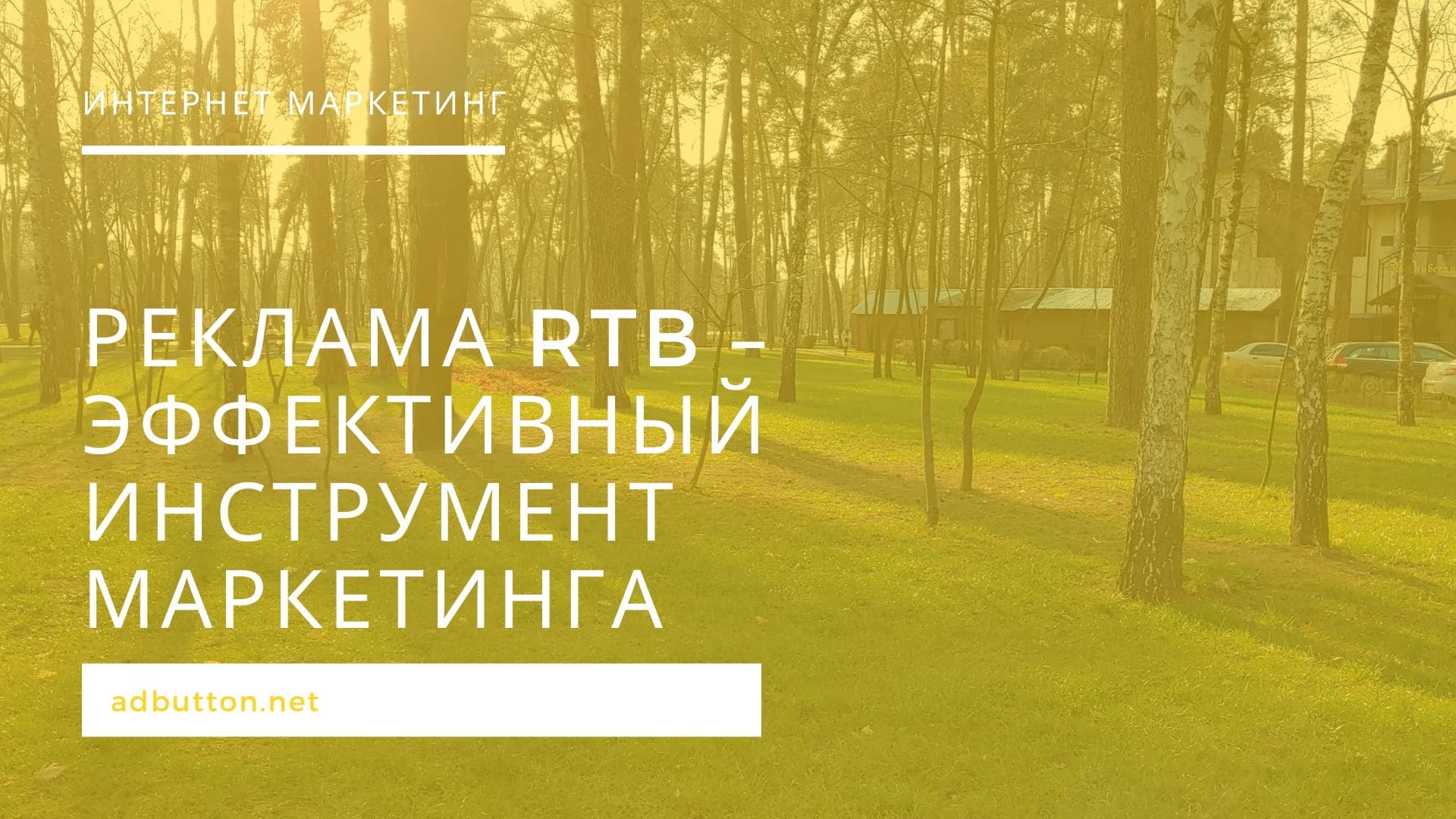 RTB реклама: преимущества размещения, виды рекламных баннеров RTB реклама: преимущества размещения, виды рекламных баннеров