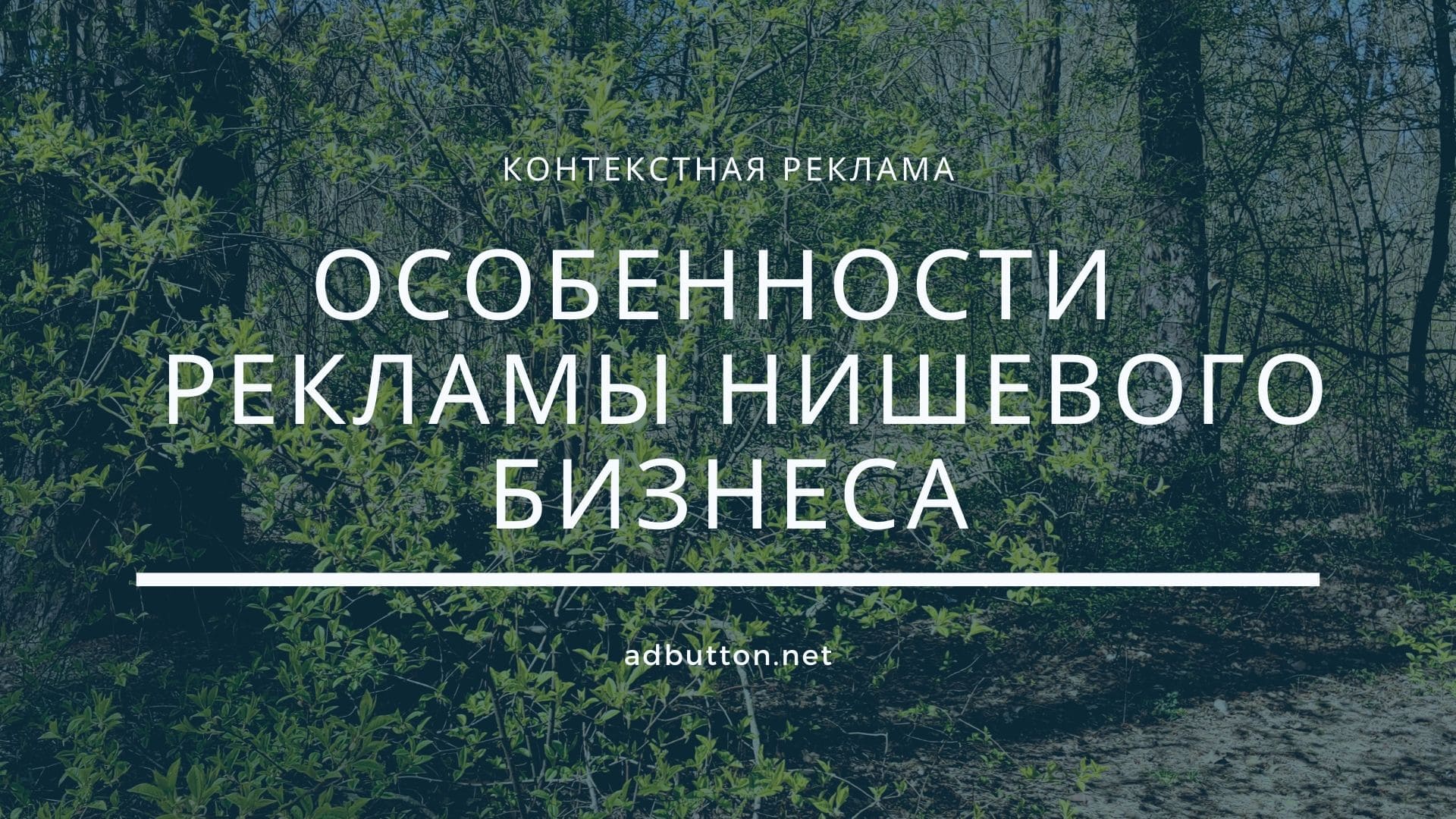 Особенности контекстной рекламы для нишевого бизнеса Особенности контекстной рекламы для нишевого бизнеса