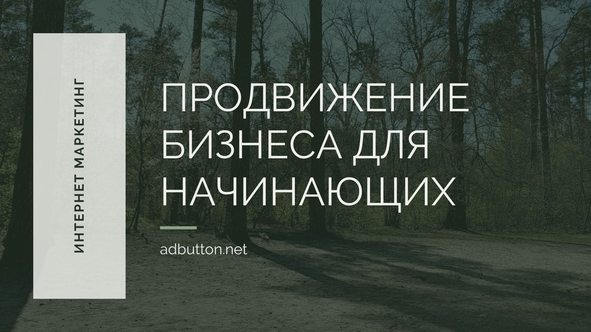 Реклама в интернете новичкам: продвижение и онлайн маркетинг Реклама в интернете новичкам: продвижение и онлайн маркетинг