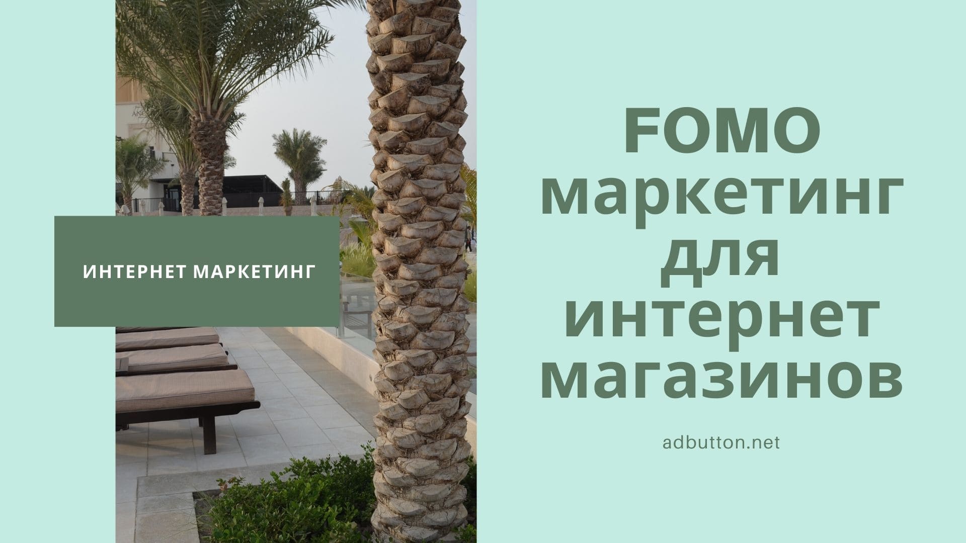 FOMO маркетинг и комплексное продвижение интернет магазинов FOMO маркетинг и комплексное продвижение интернет магазинов