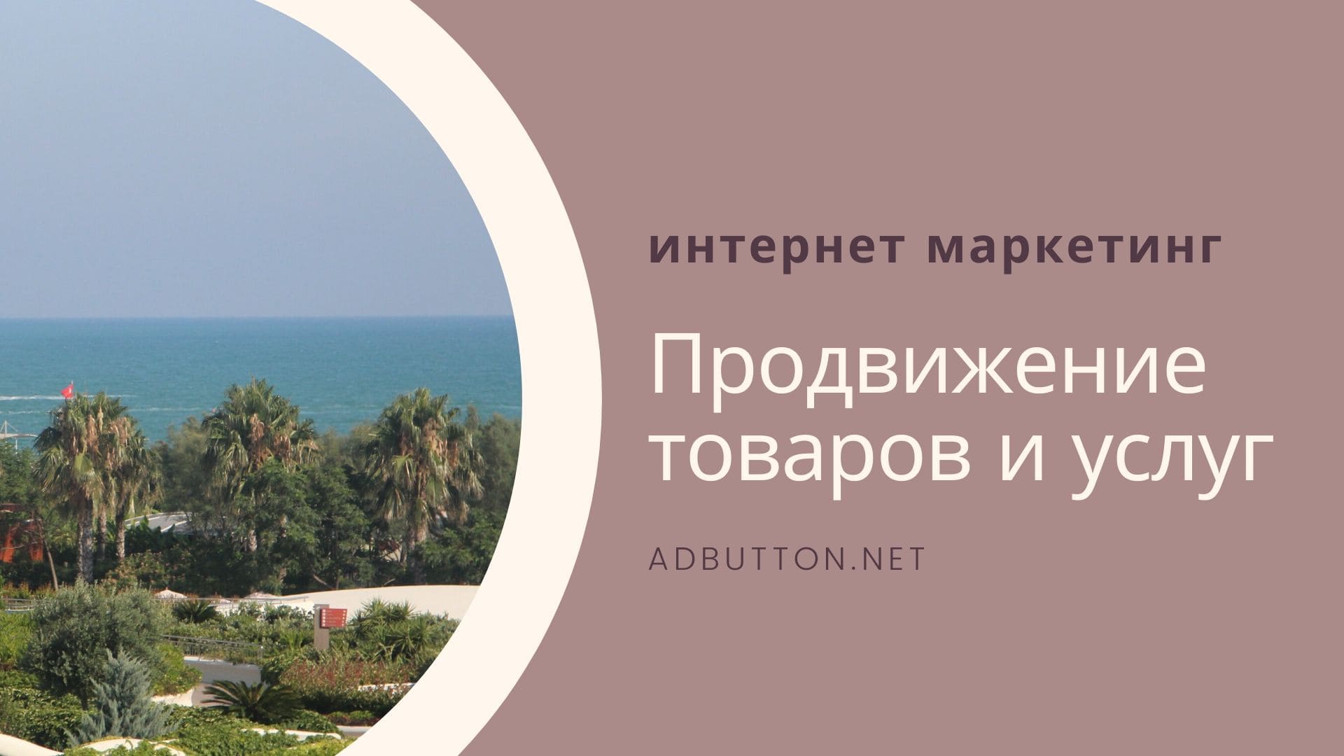 Методы продвижения в интернете: товара, услуг и продукта