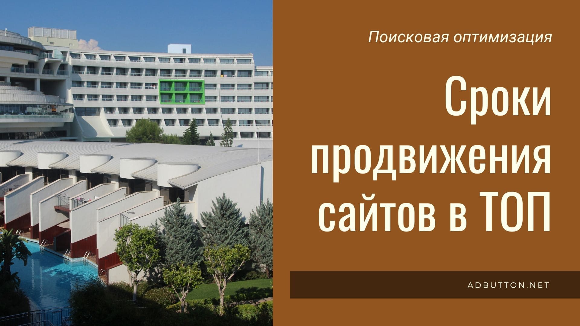 Сроки продвижения сайта в ТОП Яндекс и Google