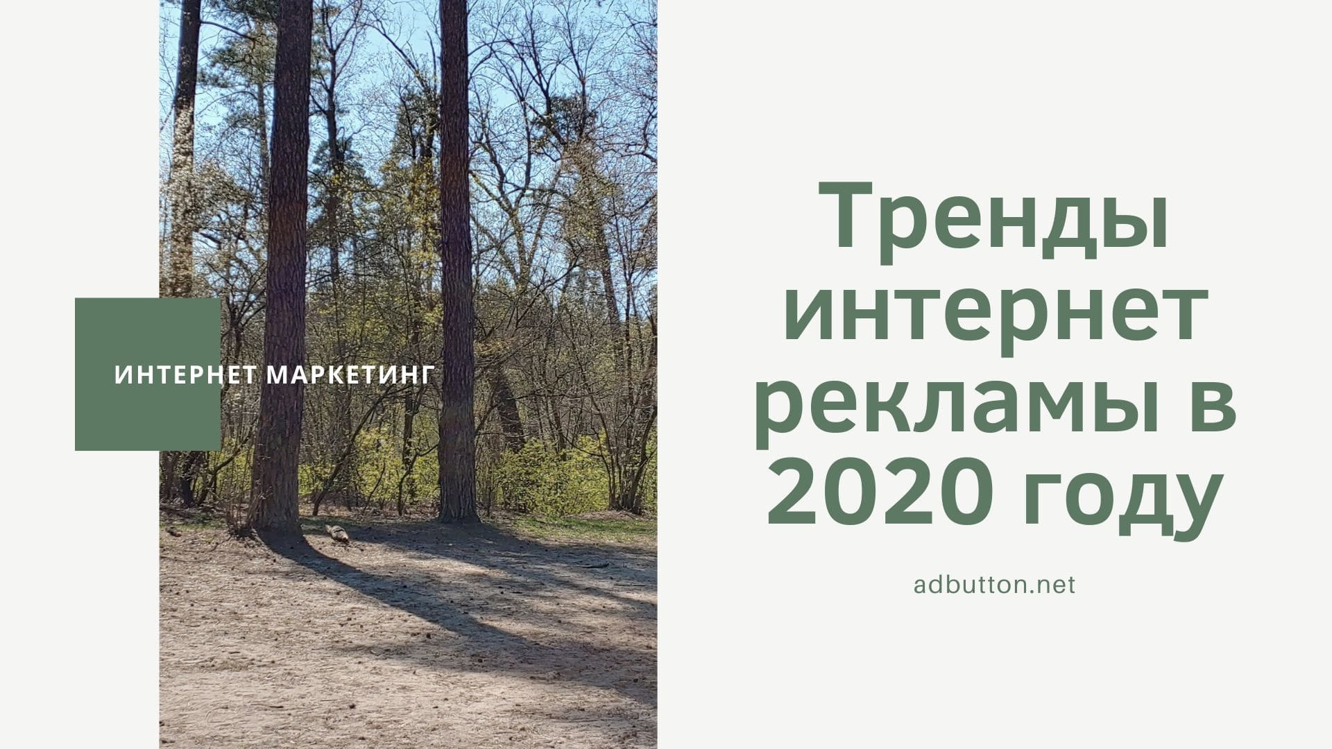 Тренды интернет рекламы в 2020 году: искусственый интеллект, персонализация контента
