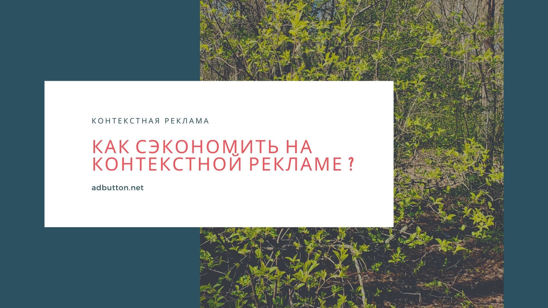 Рекламные платформы и способы сэкономить на контекстной рекламе Рекламные платформы и способы сэкономить на контекстной рекламе