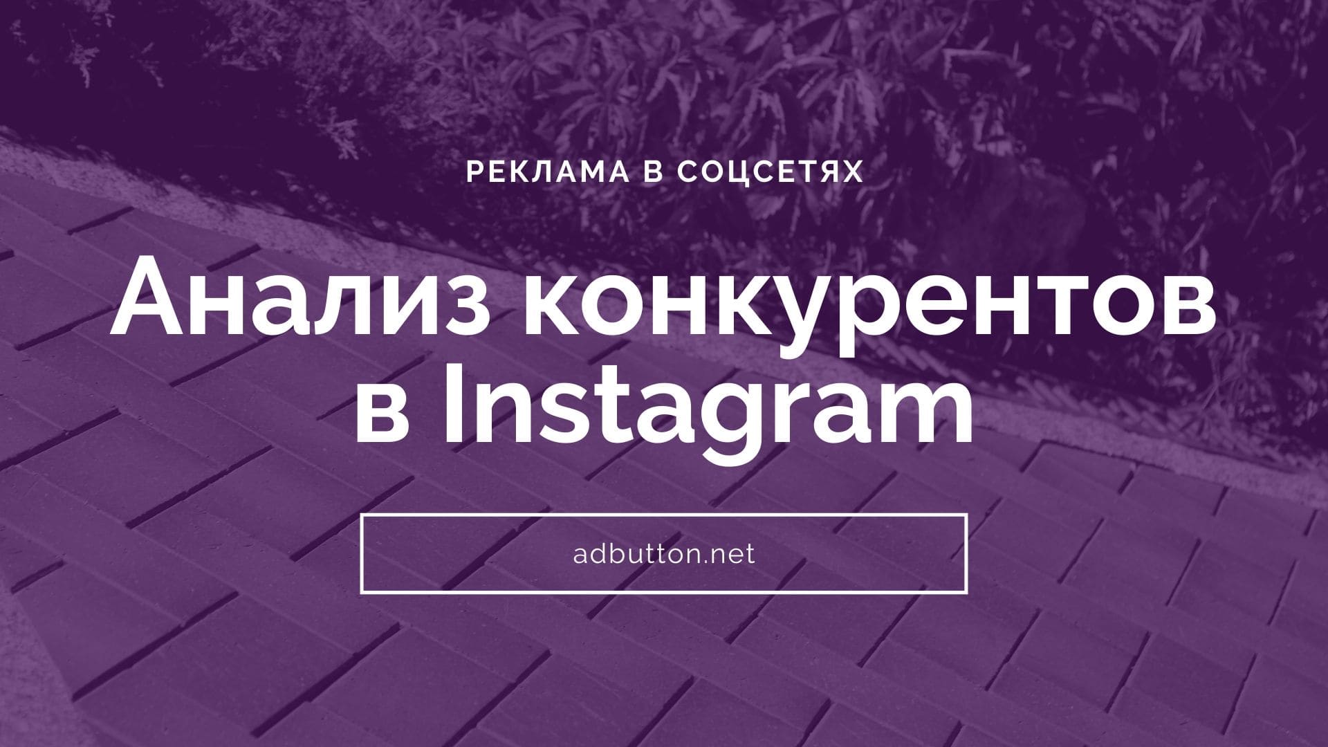 Как провести анализ конкурентов в Instagram самостоятельно и быстро?