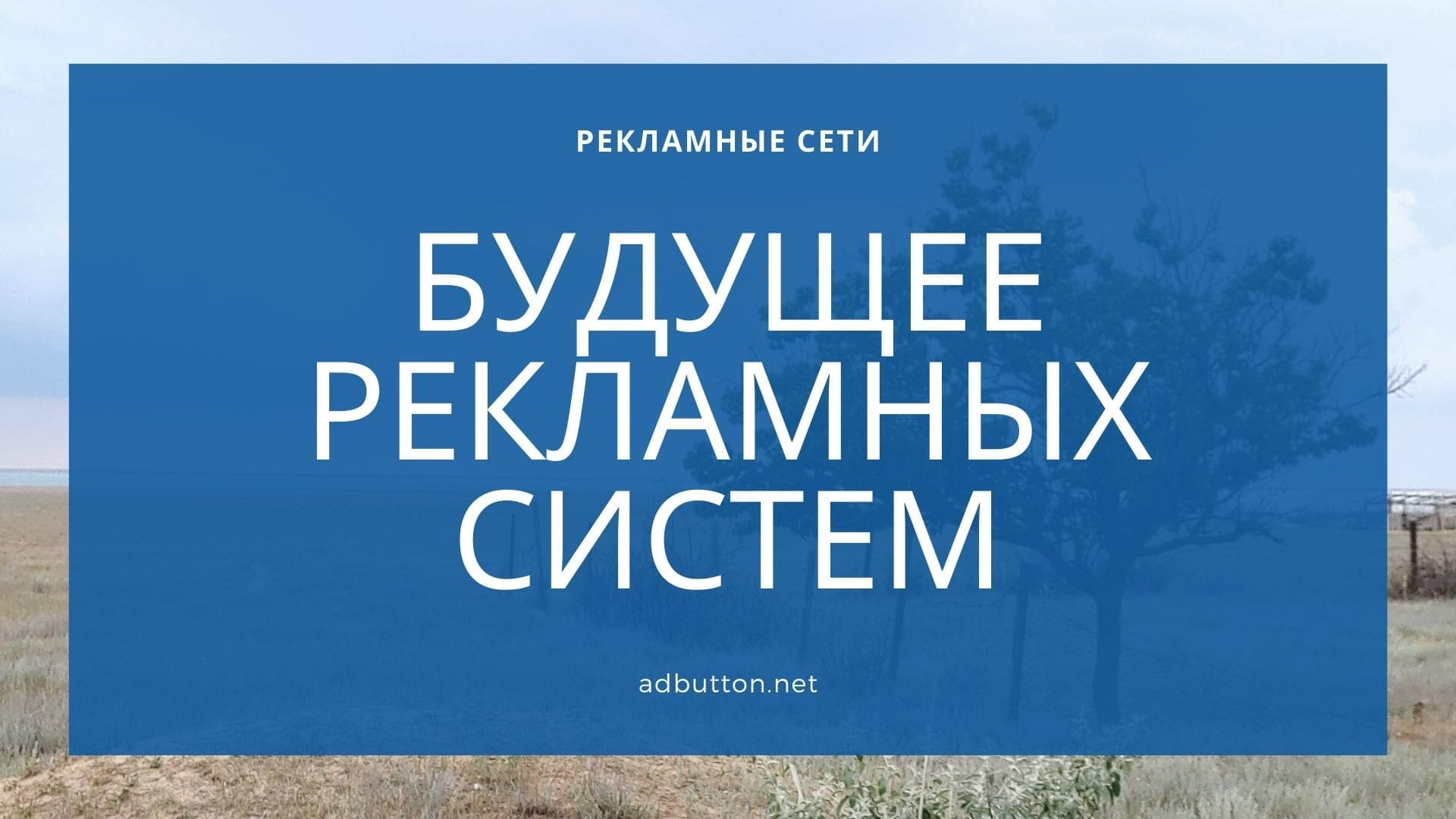Будущее рекламных систем и что ждет маркетологов Будущее рекламных систем и что ждет маркетологов