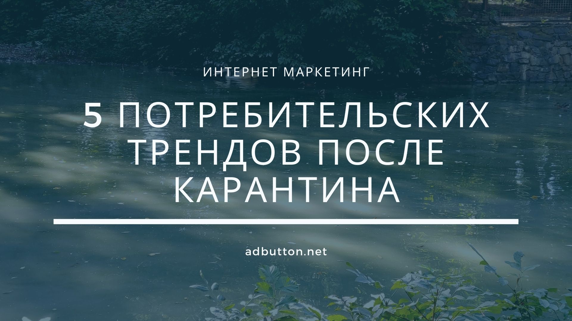Потребительские тренды и онлайн продвижение после карантина Потребительские тренды и онлайн продвижение после карантина