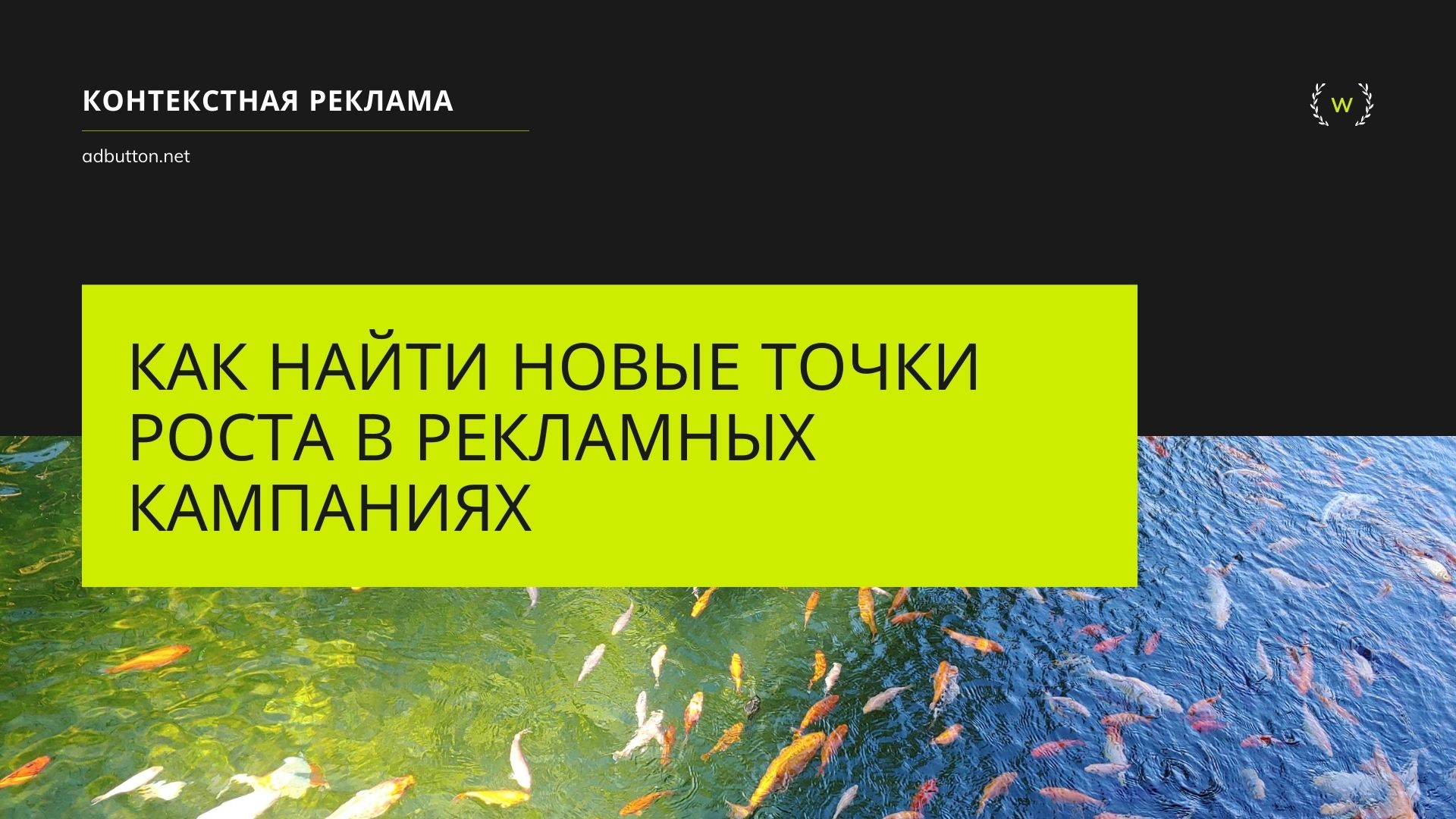 Точки роста в контекстной рекламе и способы увеличения продаж Точки роста в контекстной рекламе и способы увеличения продаж
