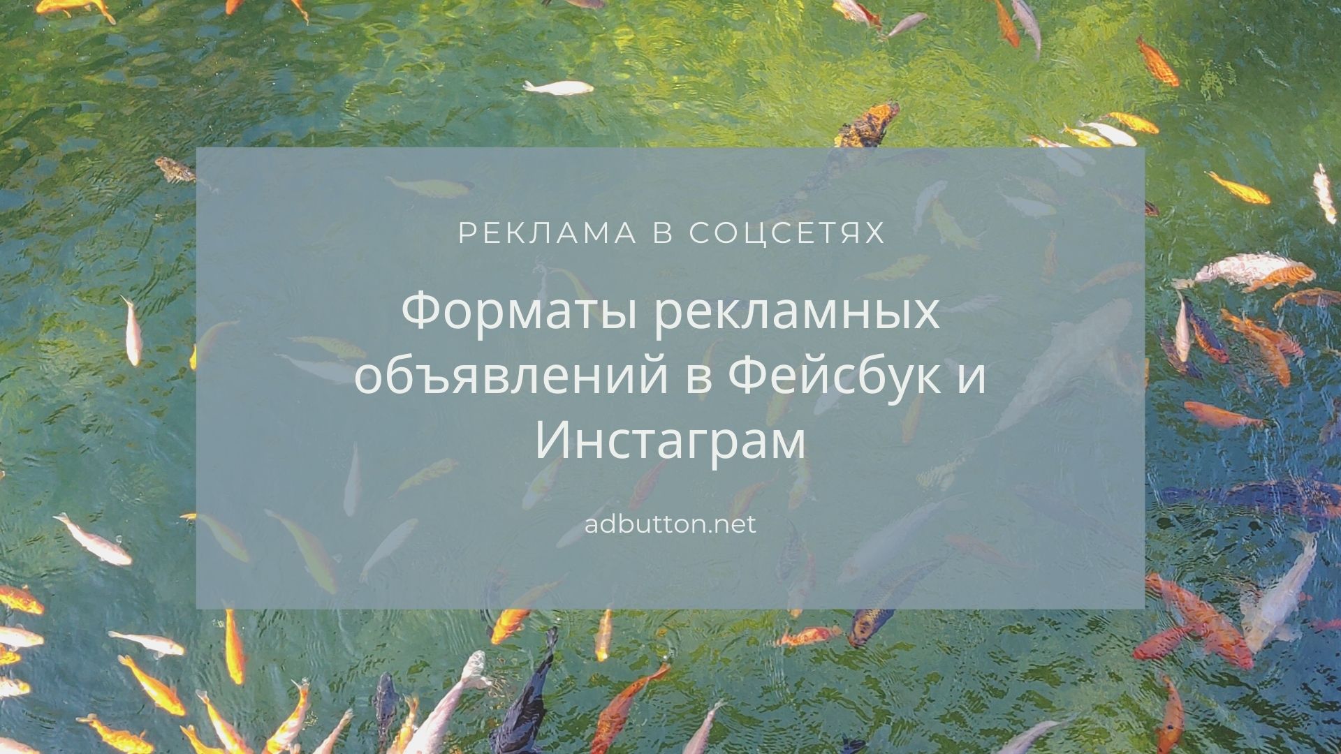 Форматы рекламных объявлений в Facebook и Instagram Форматы рекламных объявлений в Facebook и Instagram
