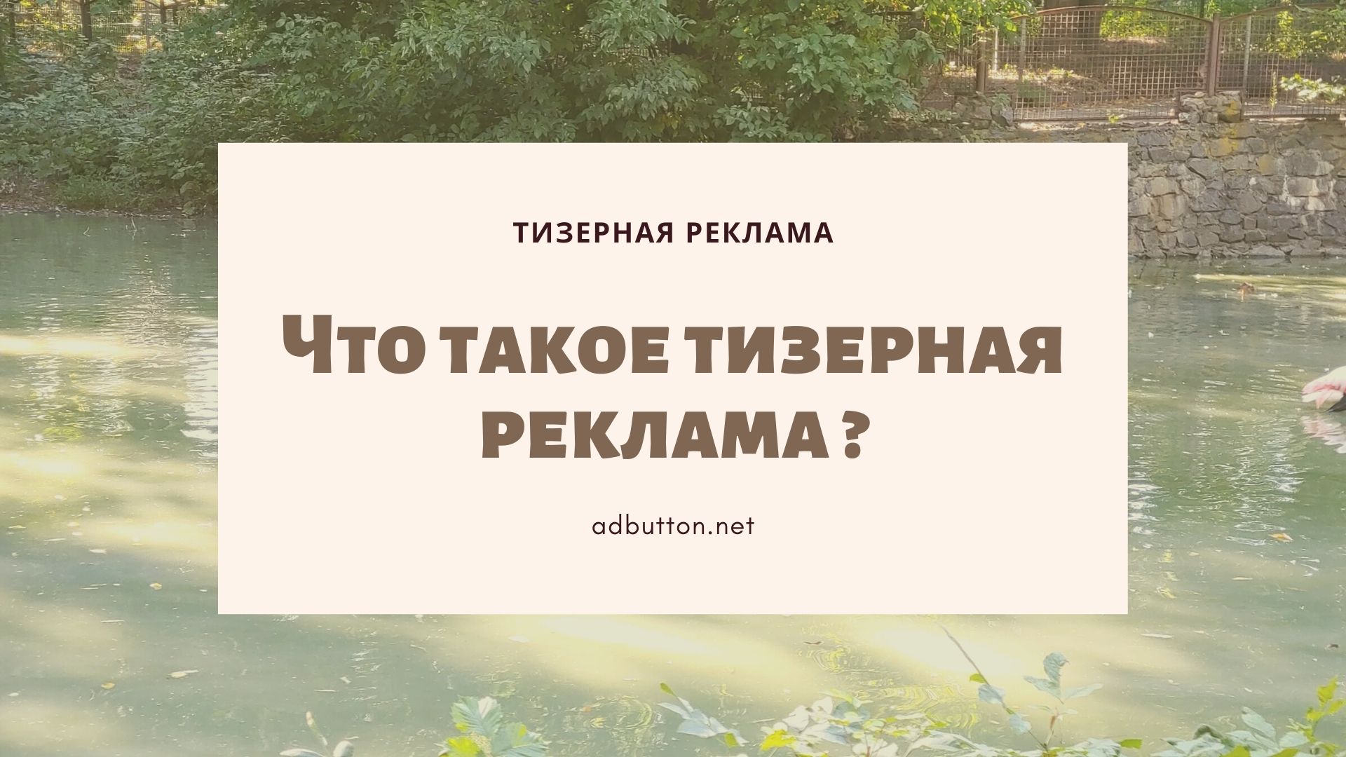 Что такое тизерная реклама: разновидности примеры объявлений Что такое тизерная реклама: разновидности примеры объявлений