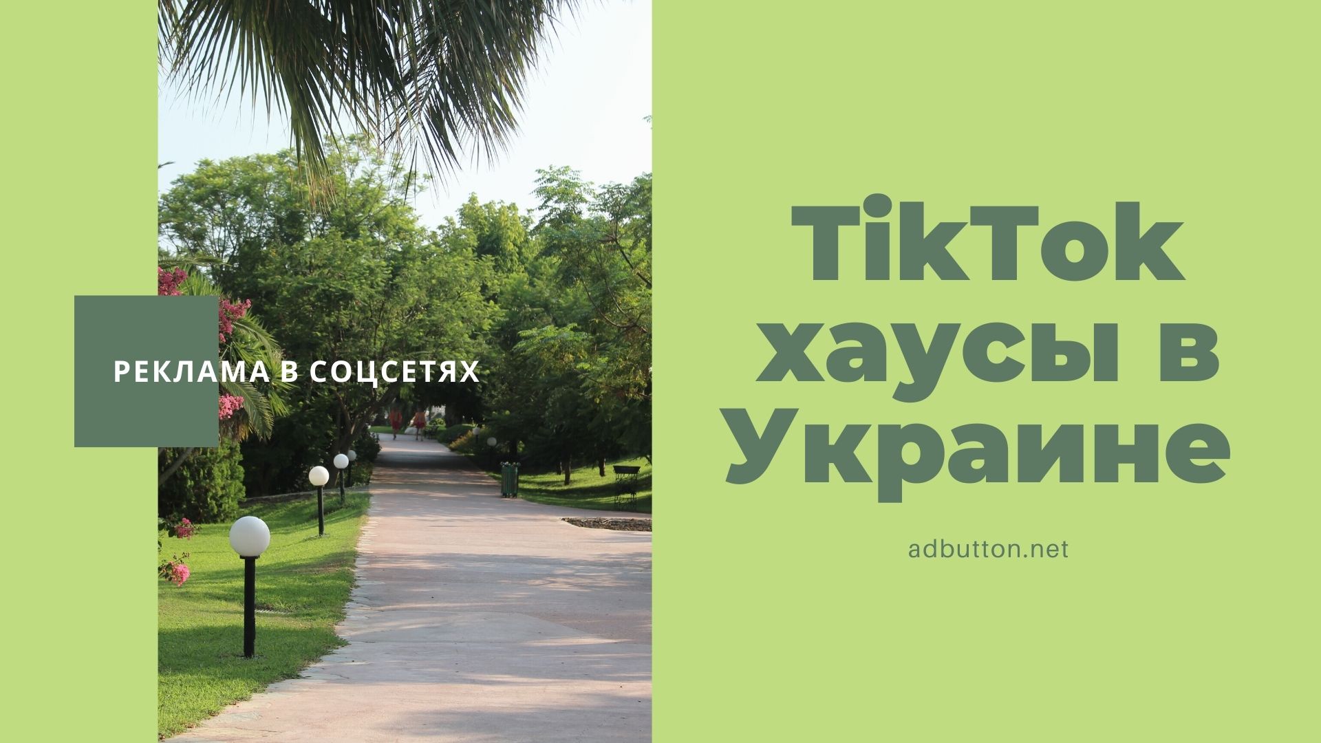 TikTok хаус в Украине: что это такое и почему это не прибыльно TikTok хаус в Украине: что это такое и почему это не прибыльно