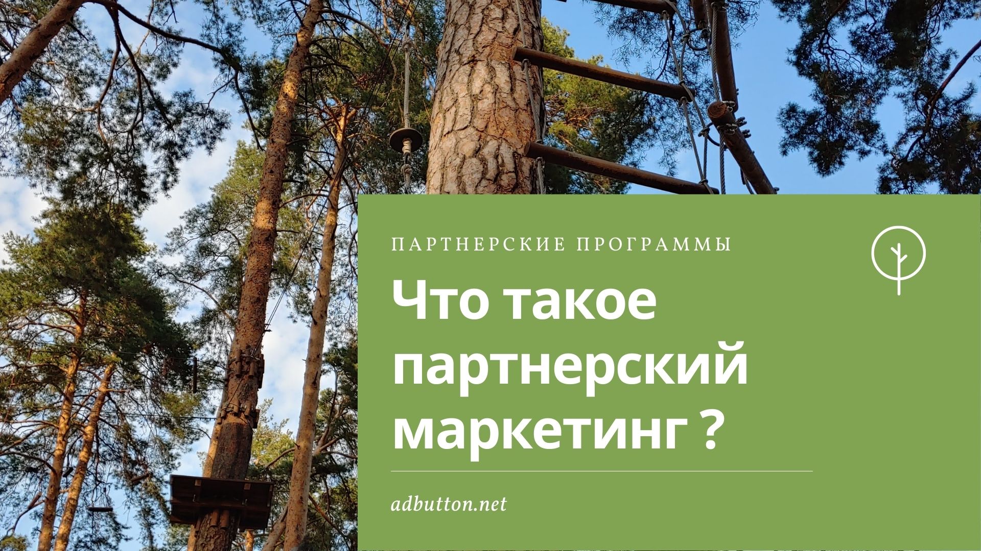 Партнерский маркетинг для чайников: с чего начать изучение Партнерский маркетинг для чайников: с чего начать изучение