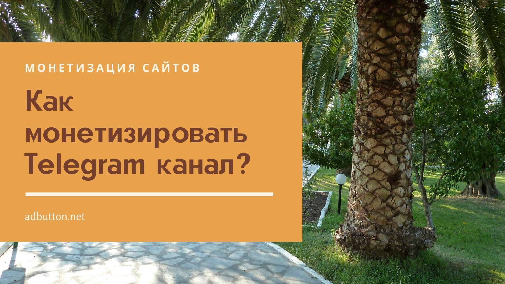Монетизация Telegram канала: виды заработка в сети Монетизация Telegram канала: виды заработка в сети