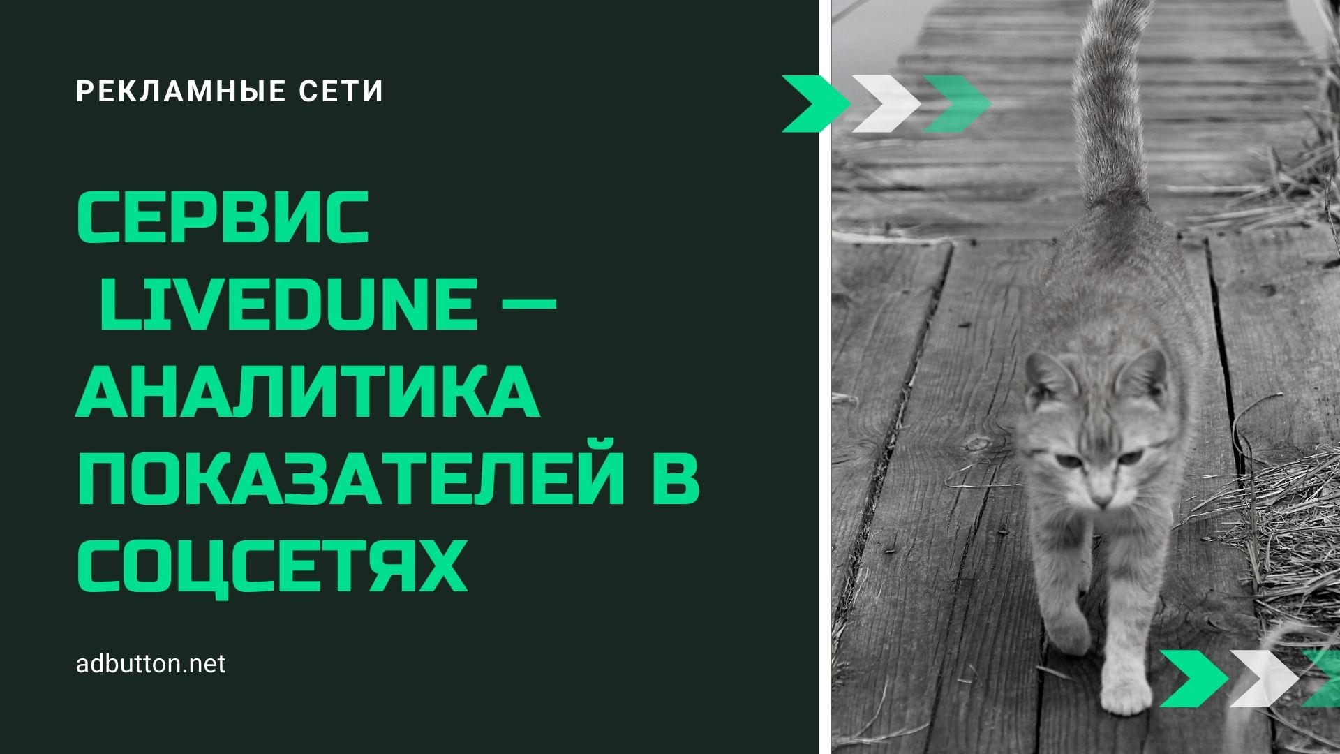 Обзор сервиса LiveDune: аналитика соцсетей для smm специалиста Обзор сервиса LiveDune: аналитика соцсетей для smm специалиста