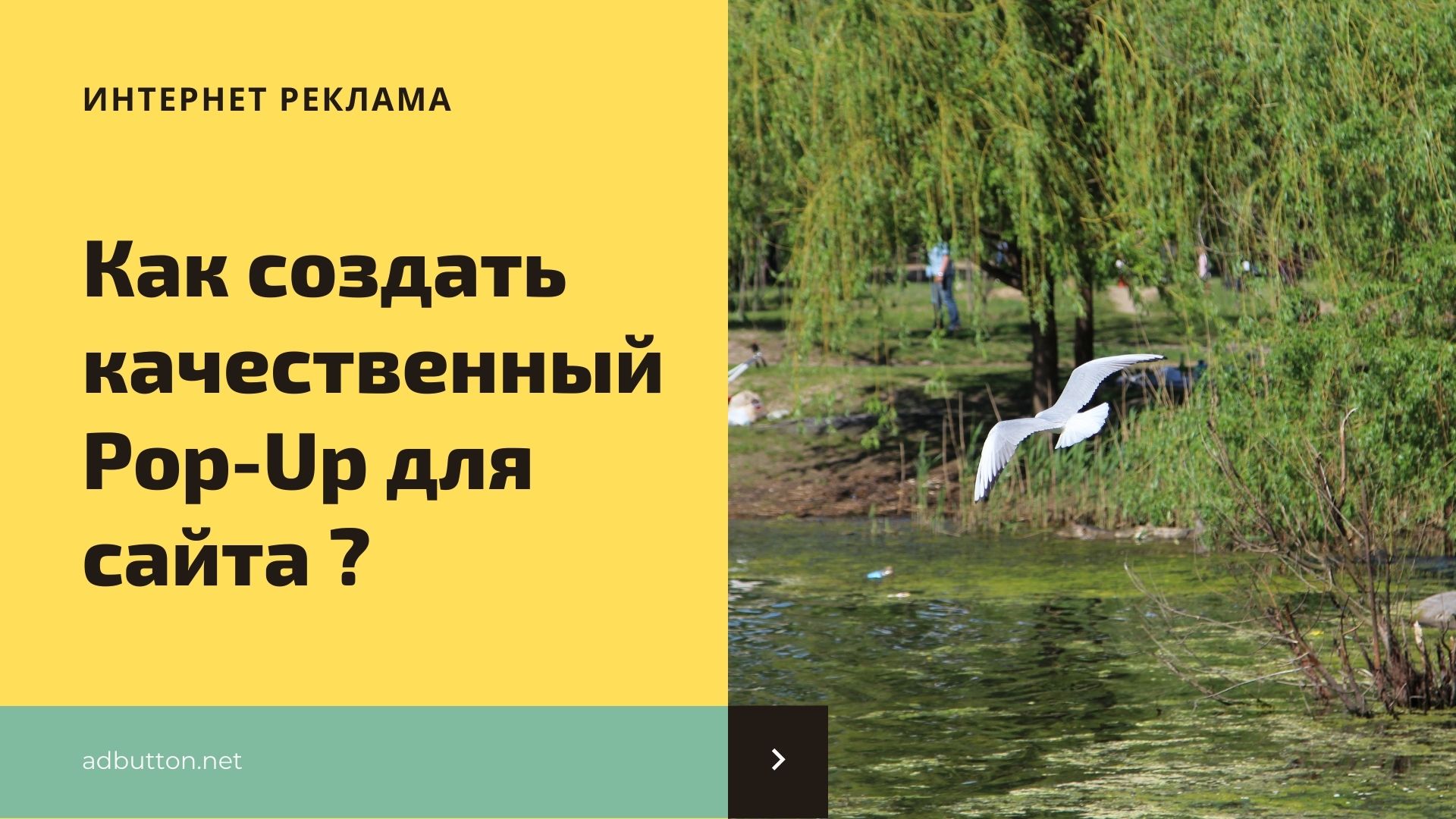 Всплывающие окна для сайта: секреты создания для роста конверсии Всплывающие окна для сайта: секреты создания для роста конверсии