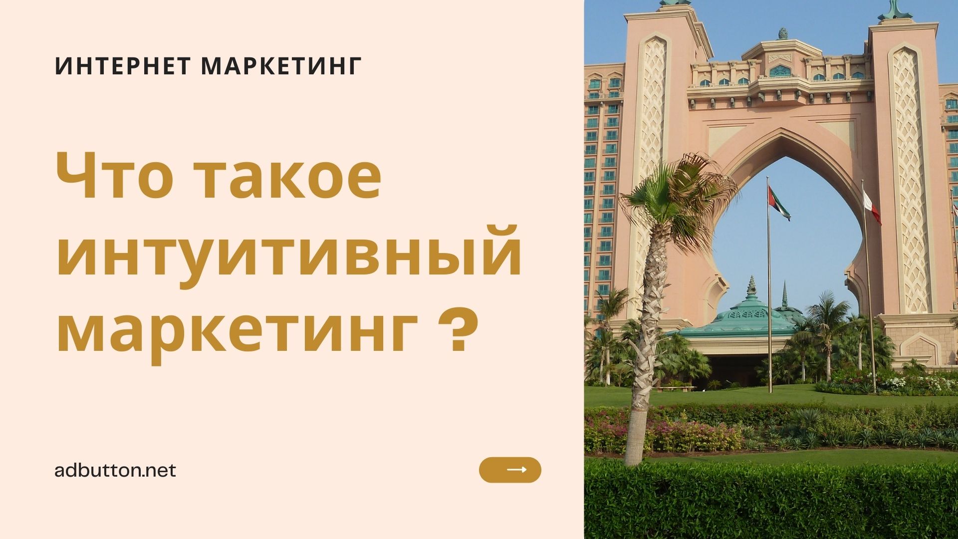 Интуитивный маркетинг и продвижение продукта в интернете Интуитивный маркетинг и продвижение продукта в интернете
