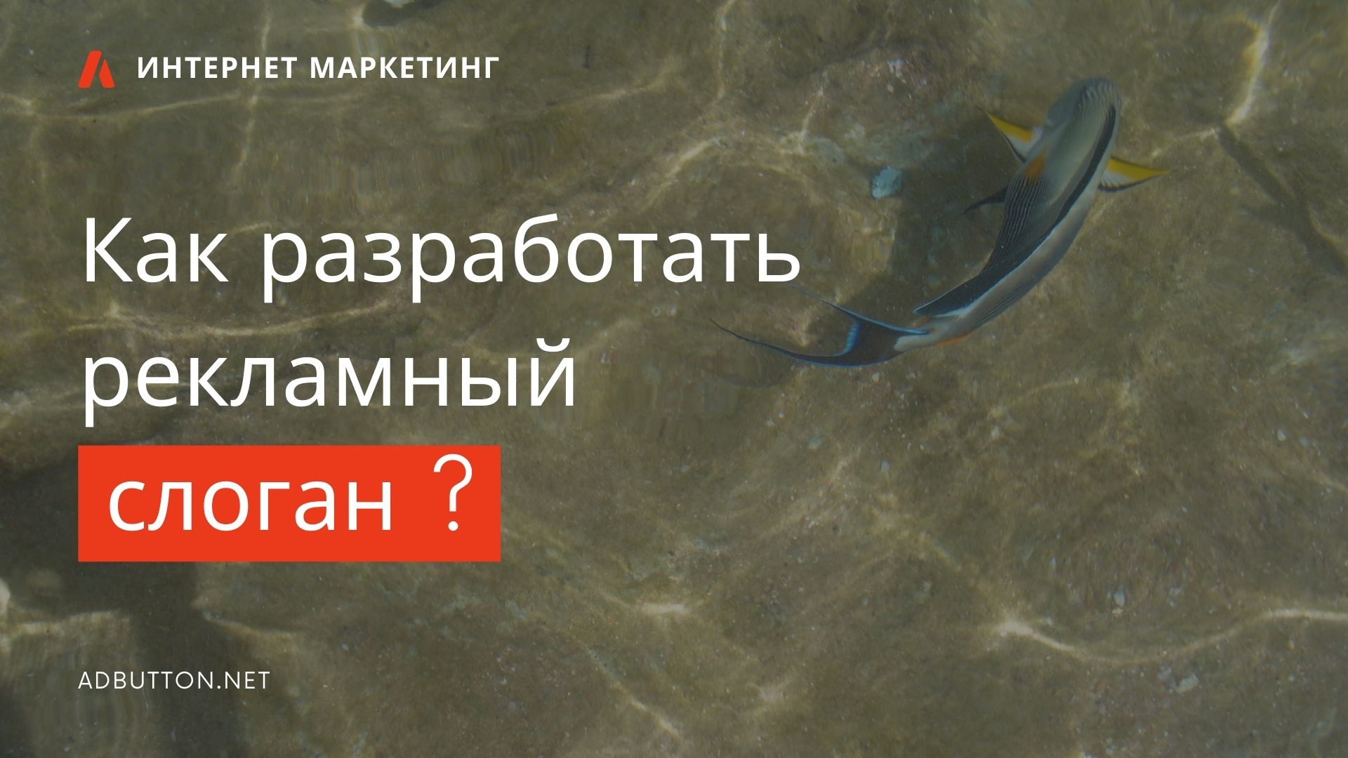 Маркетинговое сообщение: примеры и разработка слогана Маркетинговое сообщение: примеры и разработка слогана