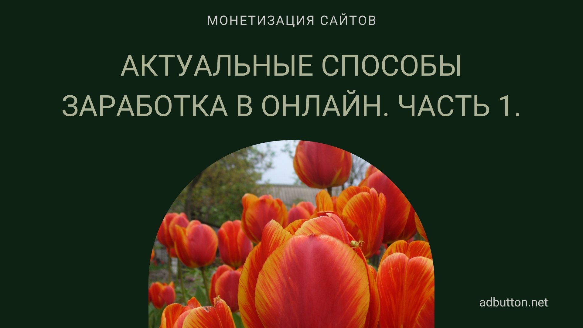 Заработок на сайте, блоге, интернет магазине, новостном портале (Ч1) Заработок на сайте, блоге, интернет магазине, новостном портале (Ч1)