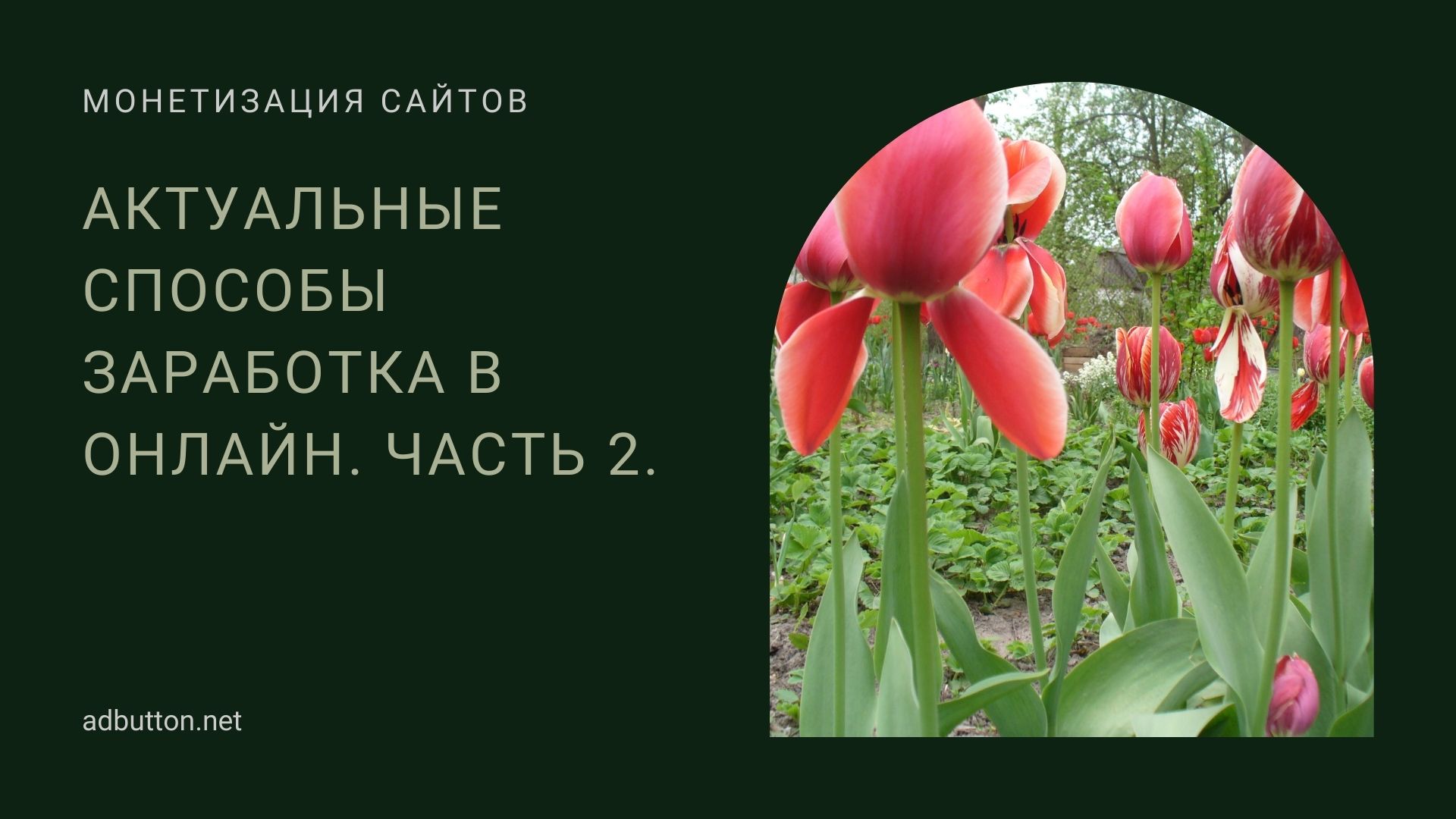 Заработок без своего сайта: фриланс, копирайтинг, торговля сайтами и доменами (Ч2) Заработок без своего сайта: фриланс, копирайтинг, торговля сайтами и доменами (Ч2)