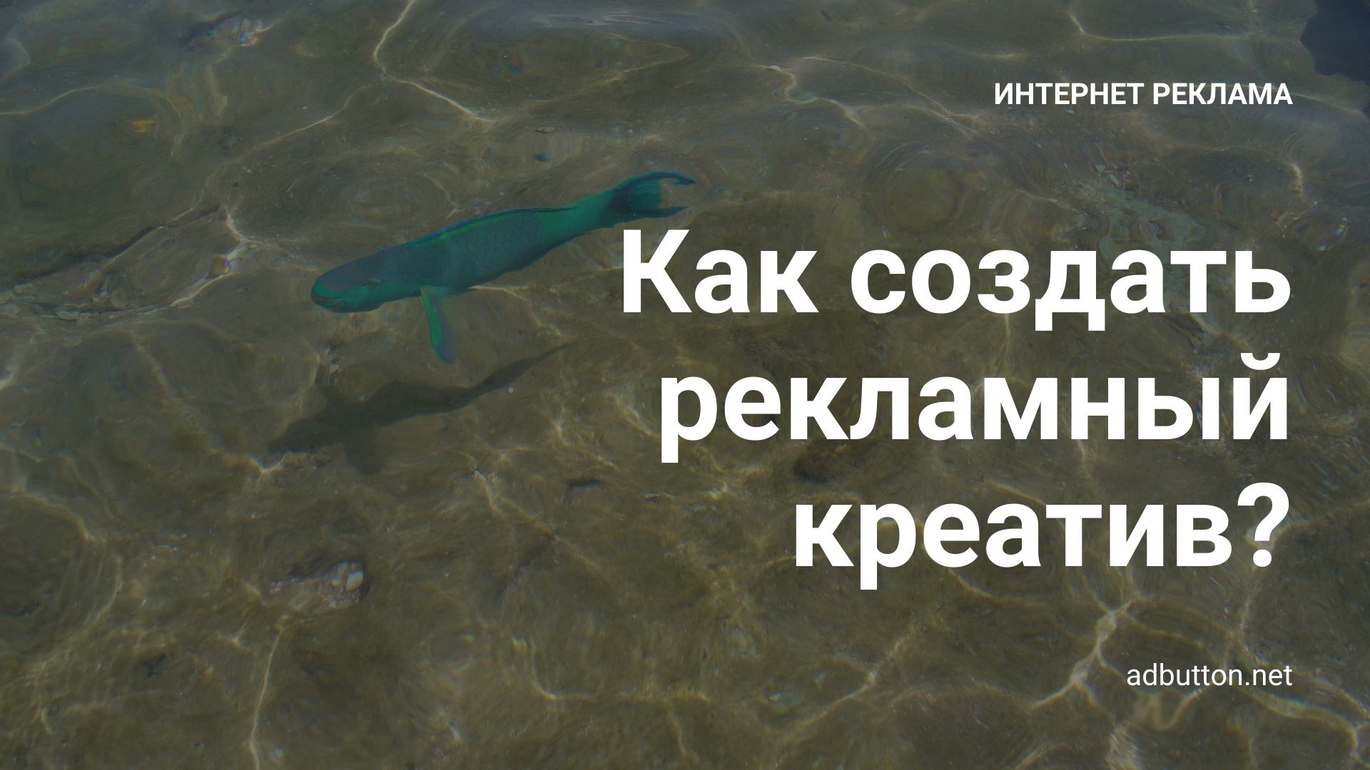 Создание креатива для рекламы в Google Ads и Yandex Direct Создание креатива для рекламы в Google Ads и Yandex Direct