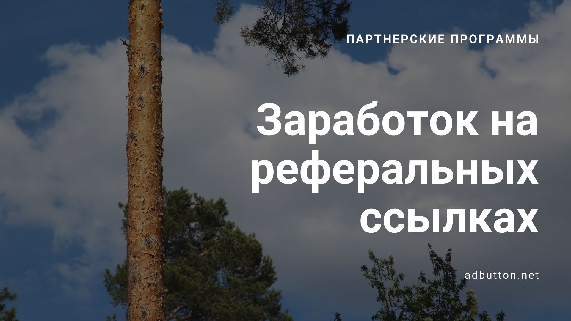 Лучшие партнерские программы и заработок на реферальных ссылках Лучшие партнерские программы и заработок на реферальных ссылках