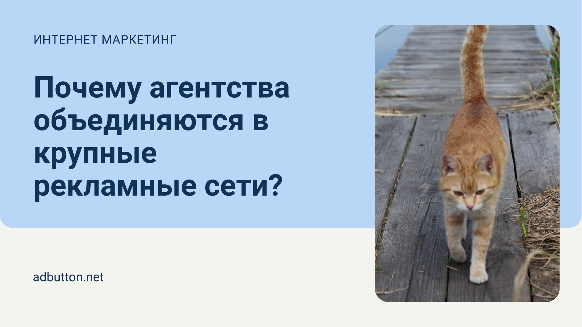 Сети рекламных агентств меняют рынок интернет маркетинга Сети рекламных агентств меняют рынок интернет маркетинга