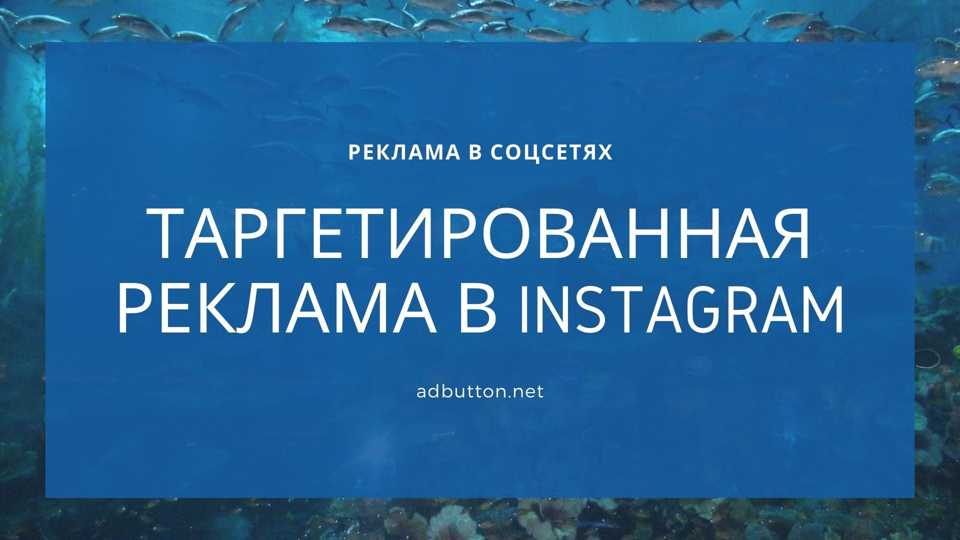 Таргетированная реклама Instagram и охват целевой аудитории Таргетированная реклама Instagram и охват целевой аудитории