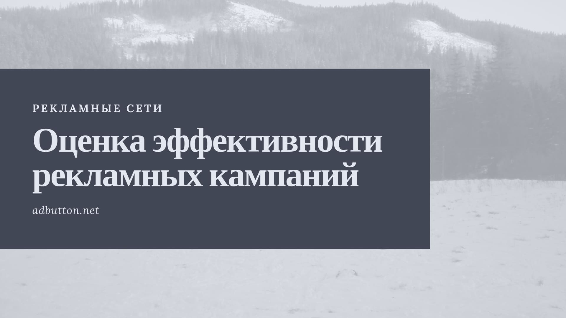 Рекламная сеть для сайта: бюджет и эффективность рекламной кампании Рекламная сеть для сайта: бюджет и эффективность рекламной кампании