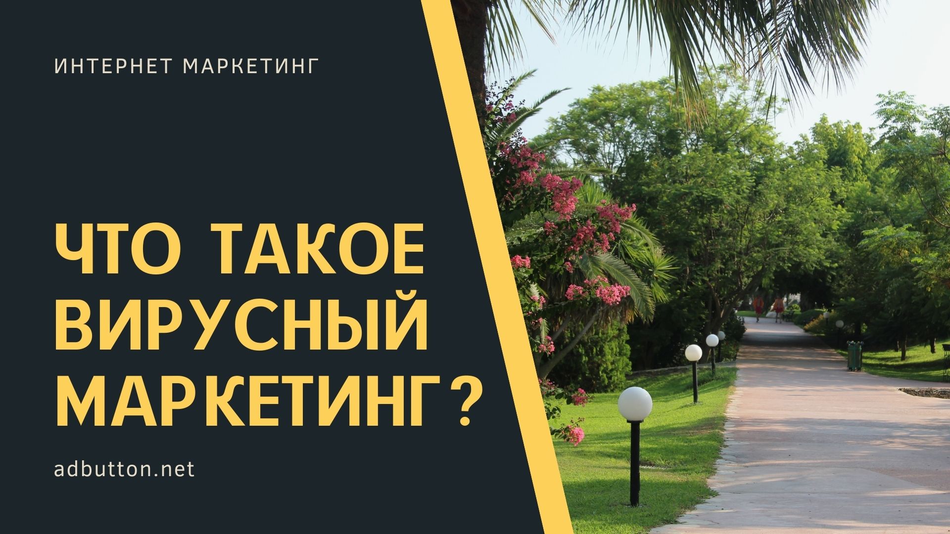 Преимущества и недостатки вирусного маркетинга в сети Преимущества и недостатки вирусного маркетинга в сети