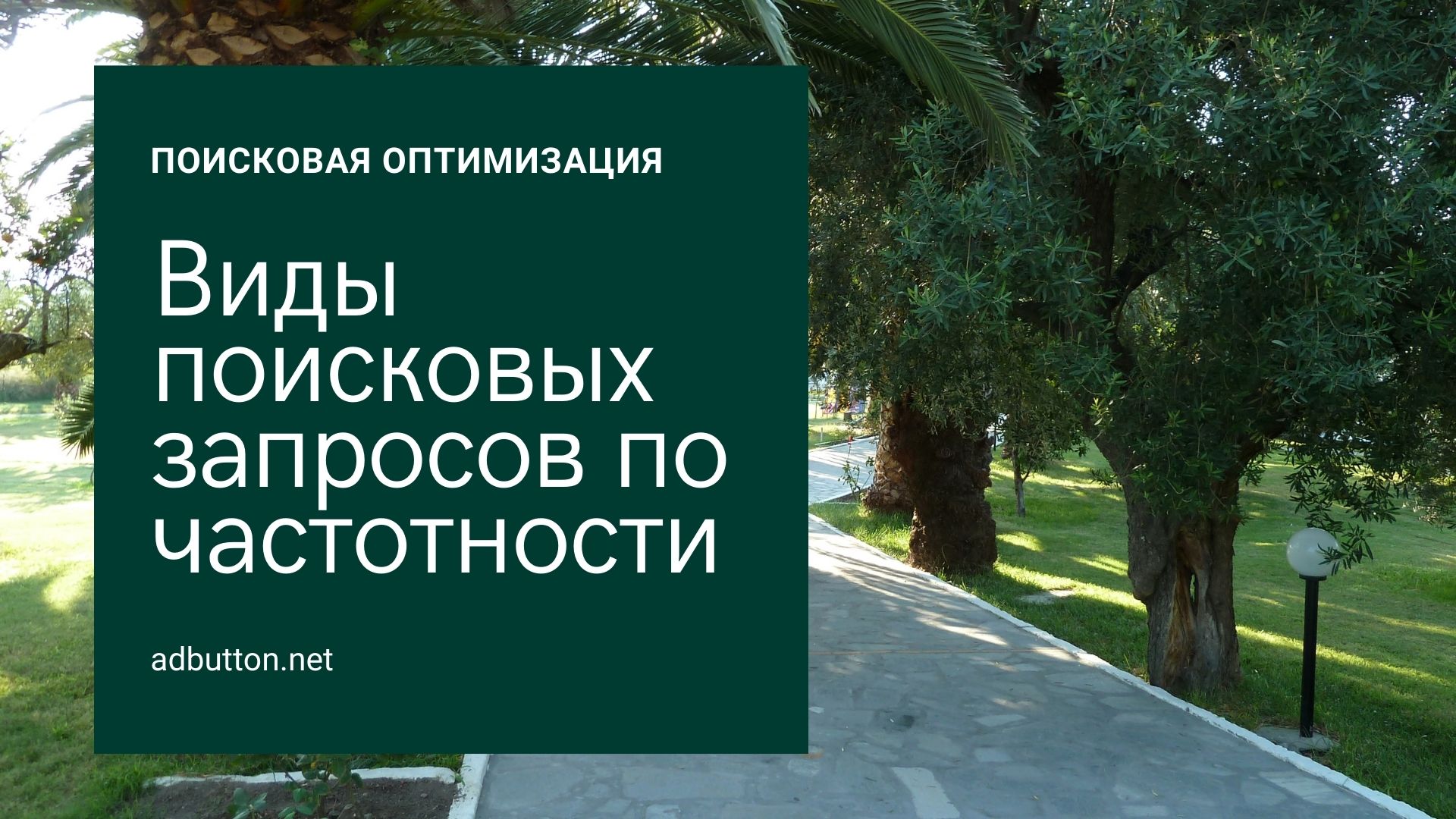 Виды поисковых запросов: частотность и конкуренция в продвижении сайта Виды поисковых запросов: частотность и конкуренция в продвижении сайта