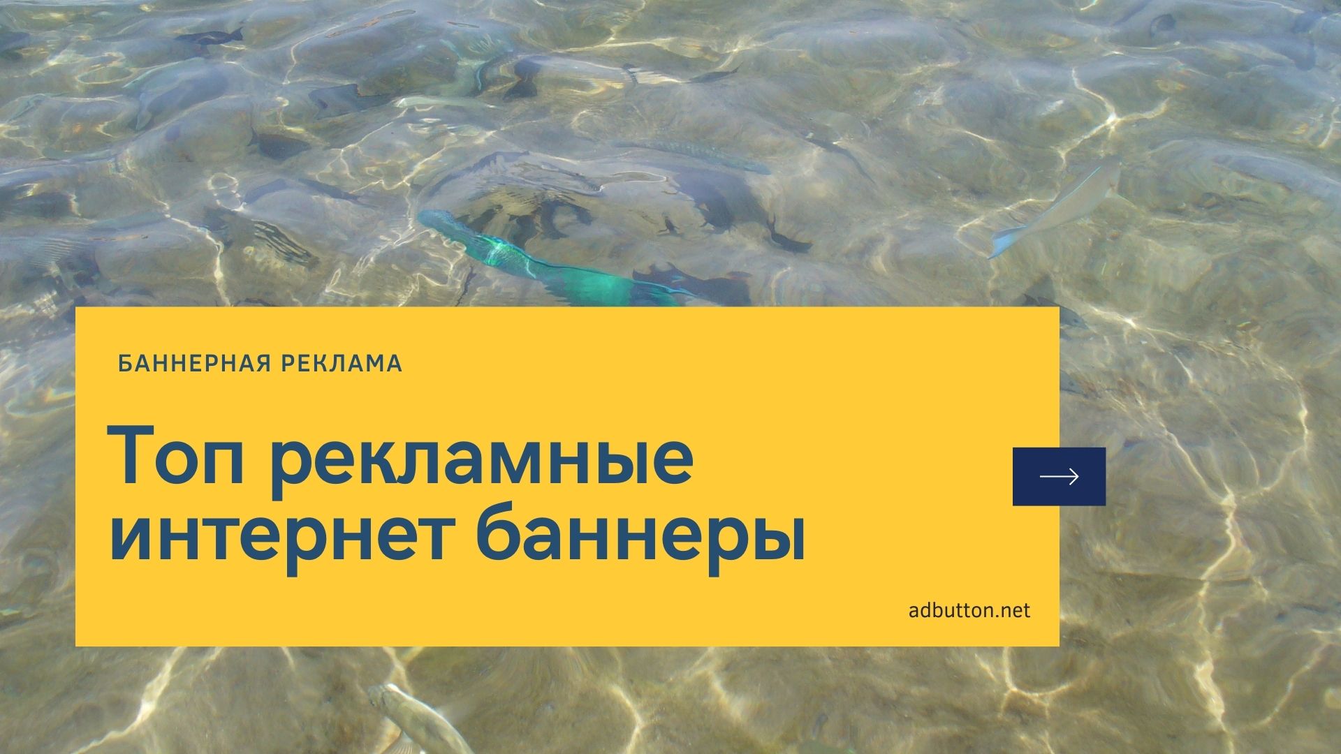 Примеры рекламных баннеров и креативные рекламные кампании Примеры рекламных баннеров и креативные рекламные кампании