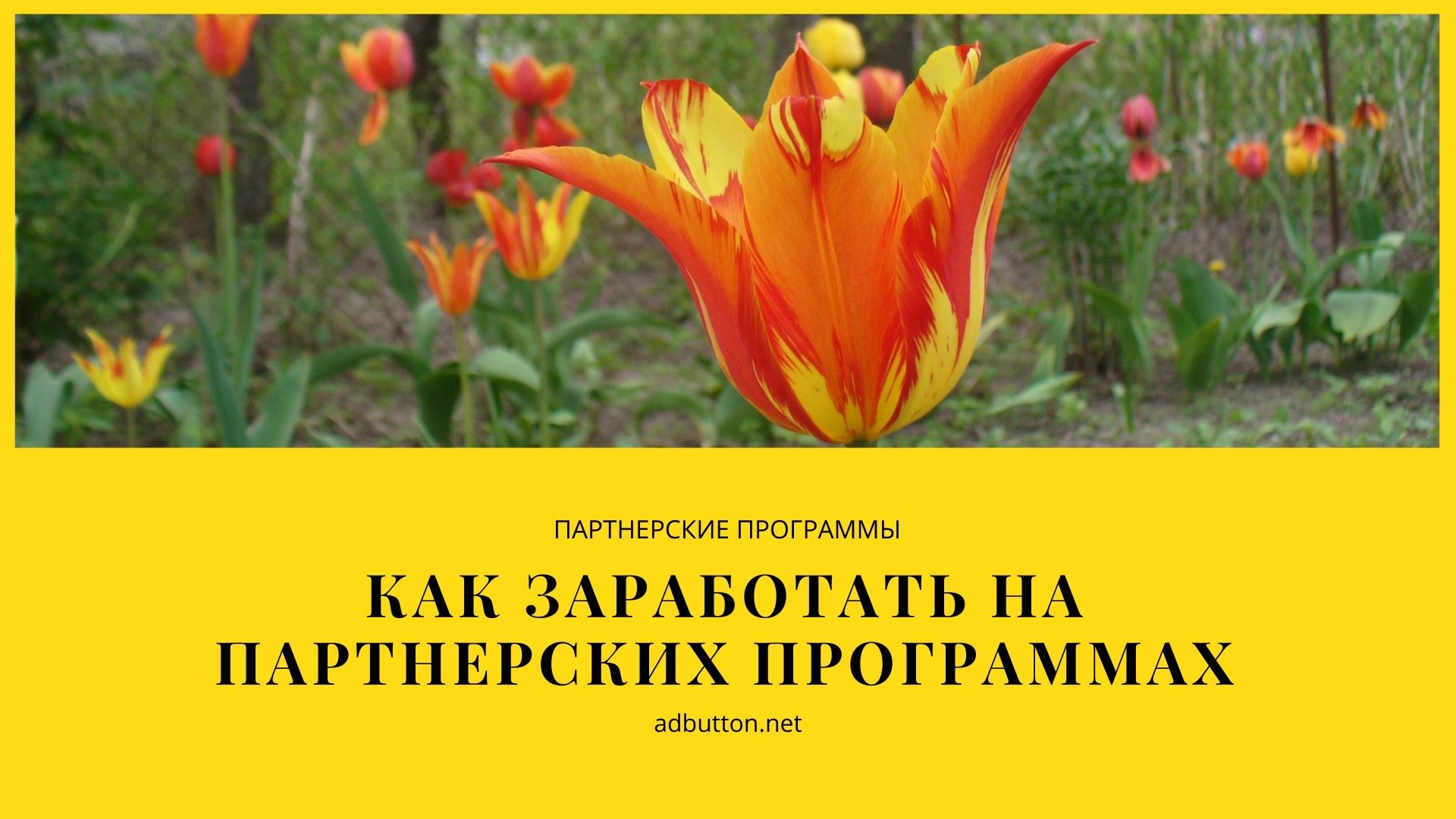 Заработок на партнерских программах для привлечения потенциальных клиентов Заработок на партнерских программах для привлечения потенциальных клиентов