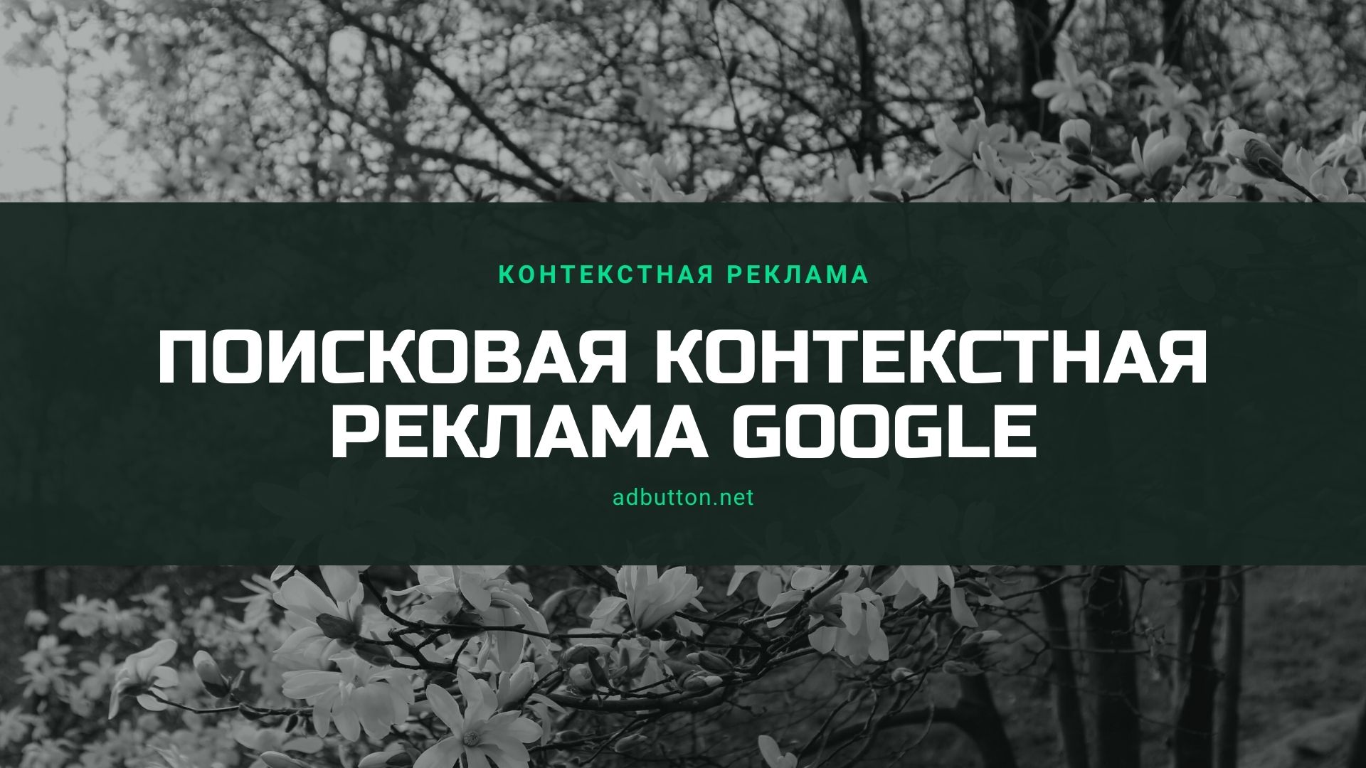 Поисковая реклама Google: правильные настройки рекламных кампаний Поисковая реклама Google: правильные настройки рекламных кампаний
