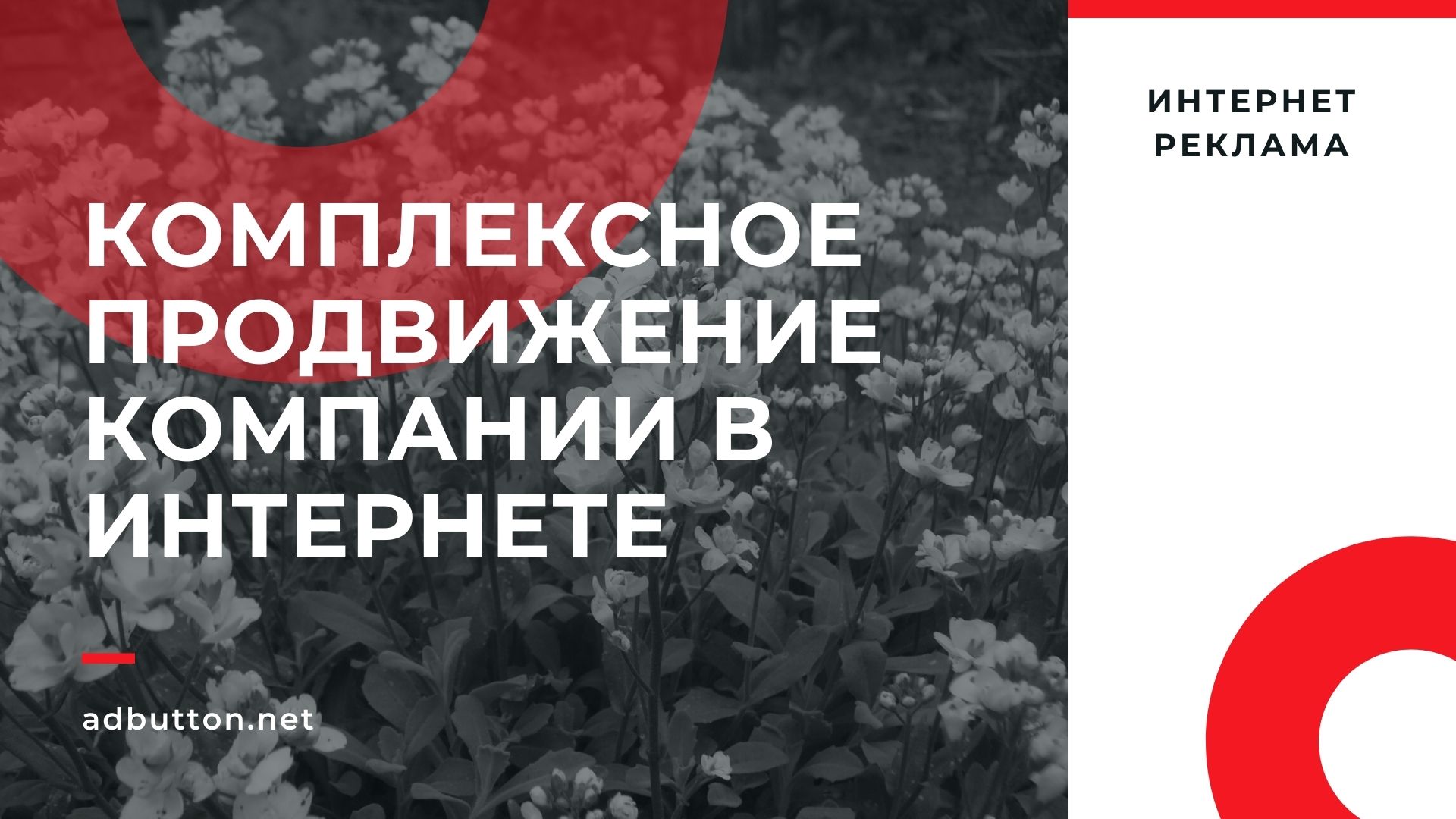 Комплексное продвижение компании в интернете Комплексное продвижение компании в интернете
