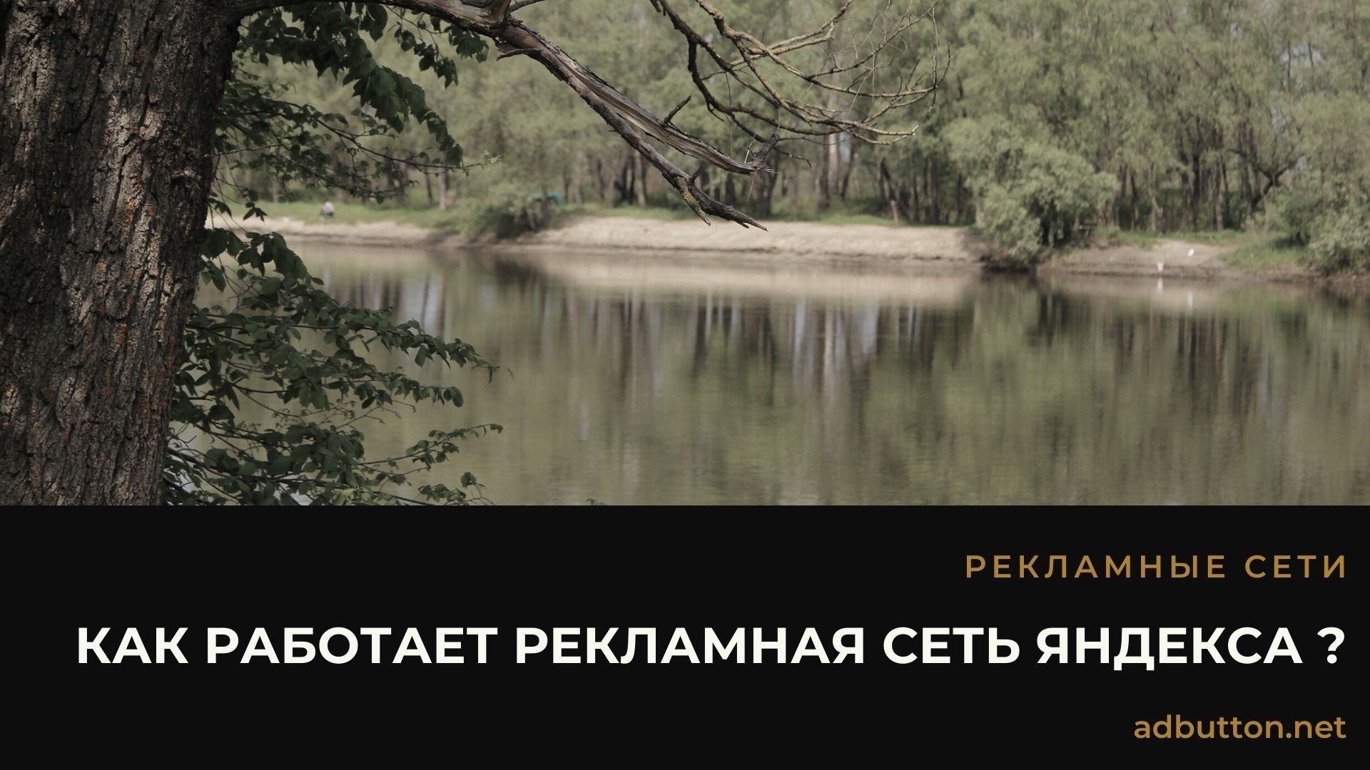 Яндекс рекламная сеть: принцип работы и отличия от Yandex Direct Яндекс рекламная сеть: принцип работы и отличия от Yandex Direct