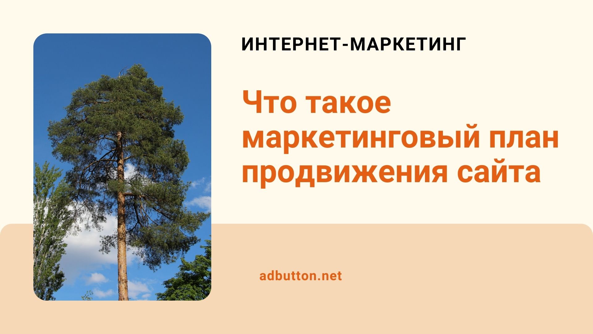 План продвижения сайта в интернете: стратегия, семантика и структура План продвижения сайта в интернете: стратегия, семантика и структура