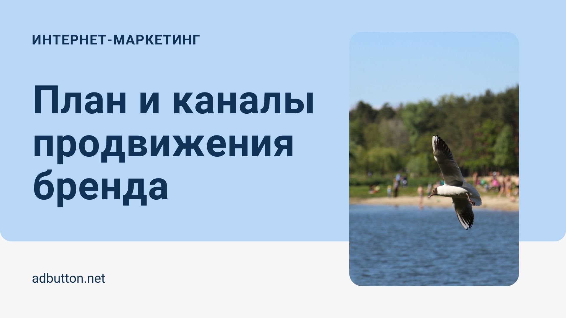План и инструменты продвижения продукта: эффективность размещения рекламы План и инструменты продвижения продукта: эффективность размещения рекламы