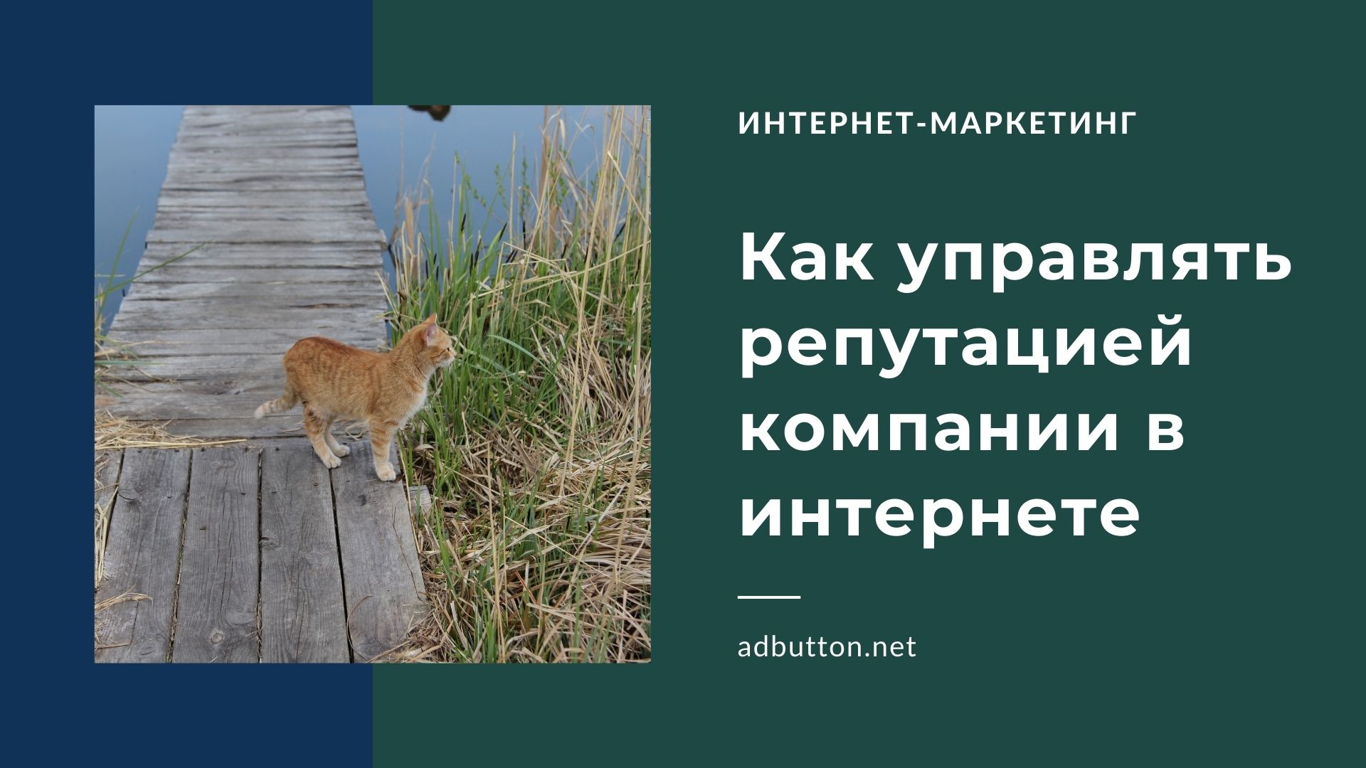 SMM отзывы: управление репутацией компании в интернете c помощью SERM SMM отзывы: управление репутацией компании в интернете c помощью SERM
