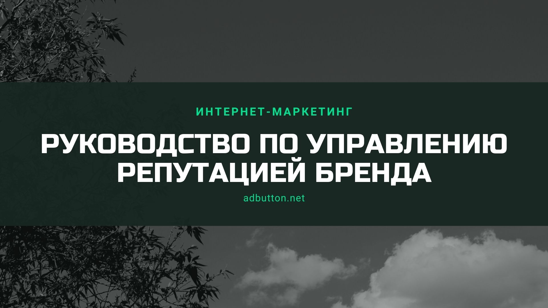 Управление репутацией бренда: стратегия интернет продвижения Управление репутацией бренда: стратегия интернет продвижения