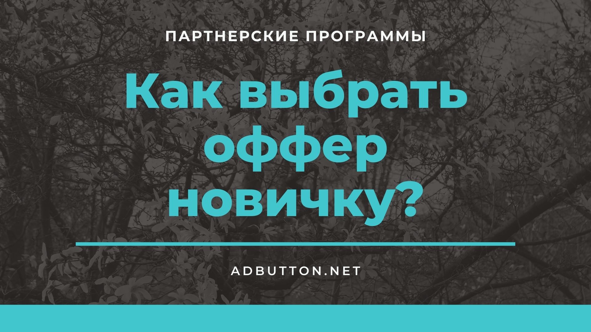 Принципы выбора партнерской программы для новичков Принципы выбора партнерской программы для новичков