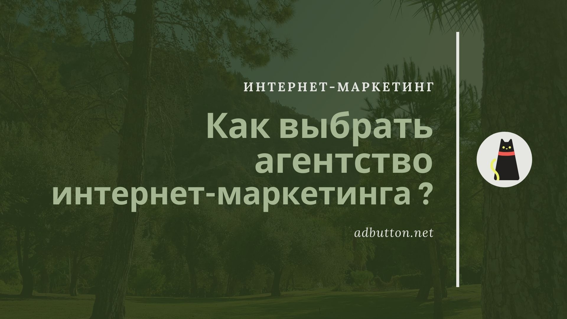 Агентство интернет рекламы и маркетинга: как правильно выбрать Агентство интернет рекламы и маркетинга: как правильно выбрать