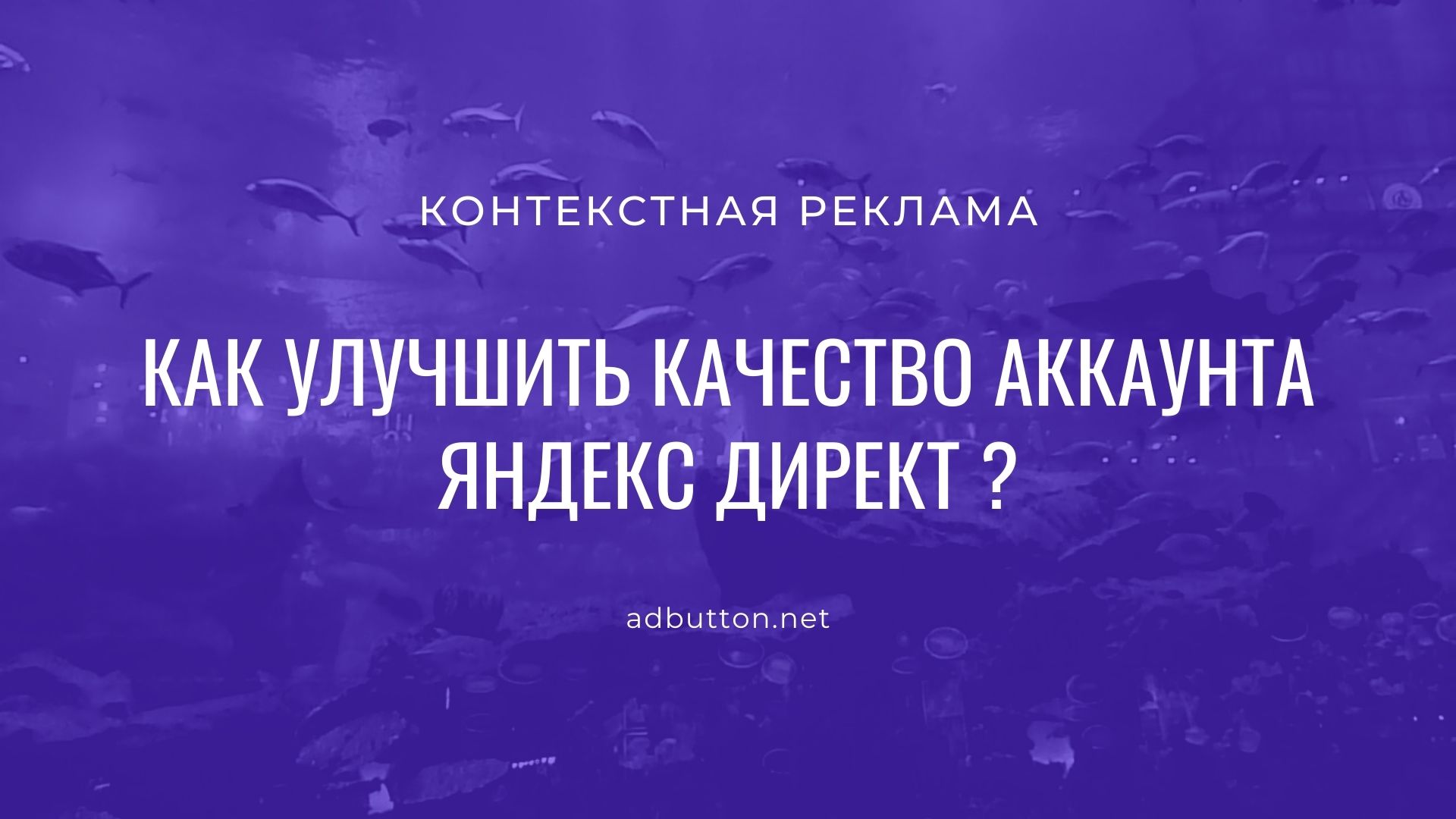 Качество аккаунта Яндекс Директ: что такое и как уменьшить стоимость рекламы Качество аккаунта Яндекс Директ: что такое и как уменьшить стоимость рекламы