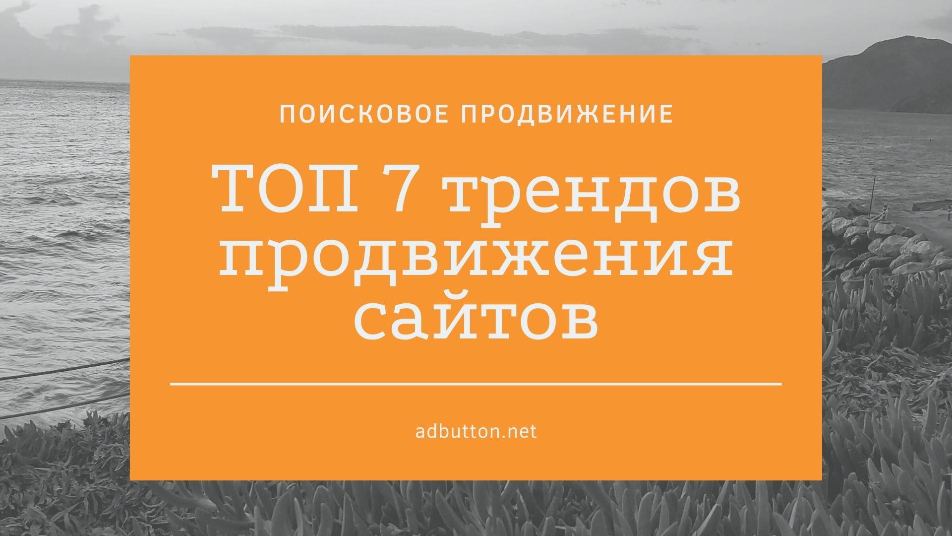 SEO-оптимизация в 2021 году: ТОП 7 трендов продвижения сайтов