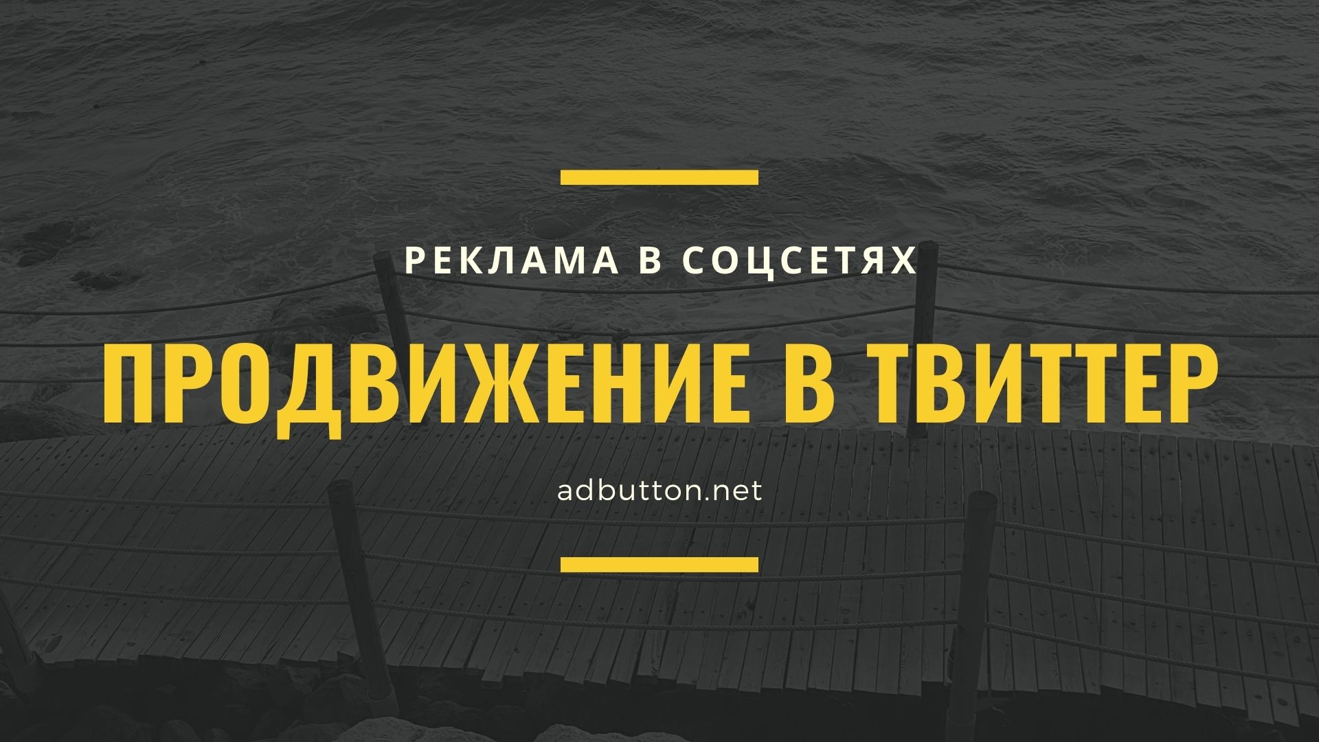 Продвижение в Твиттер — советы и примеры для бизнеса