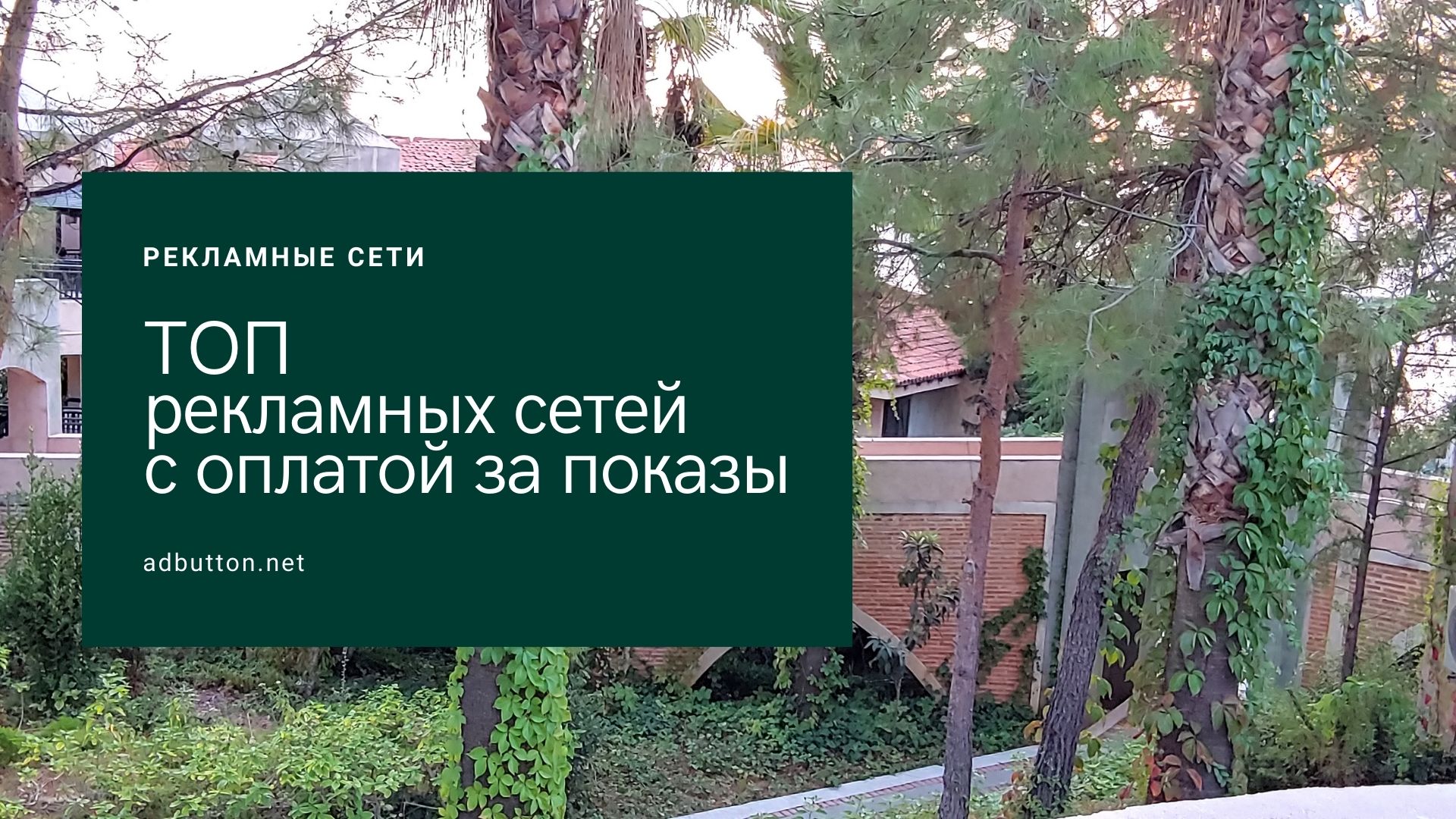 Лучшие рекламные сети с высоким CPM для вебмастеров Лучшие рекламные сети с высоким CPM для вебмастеров