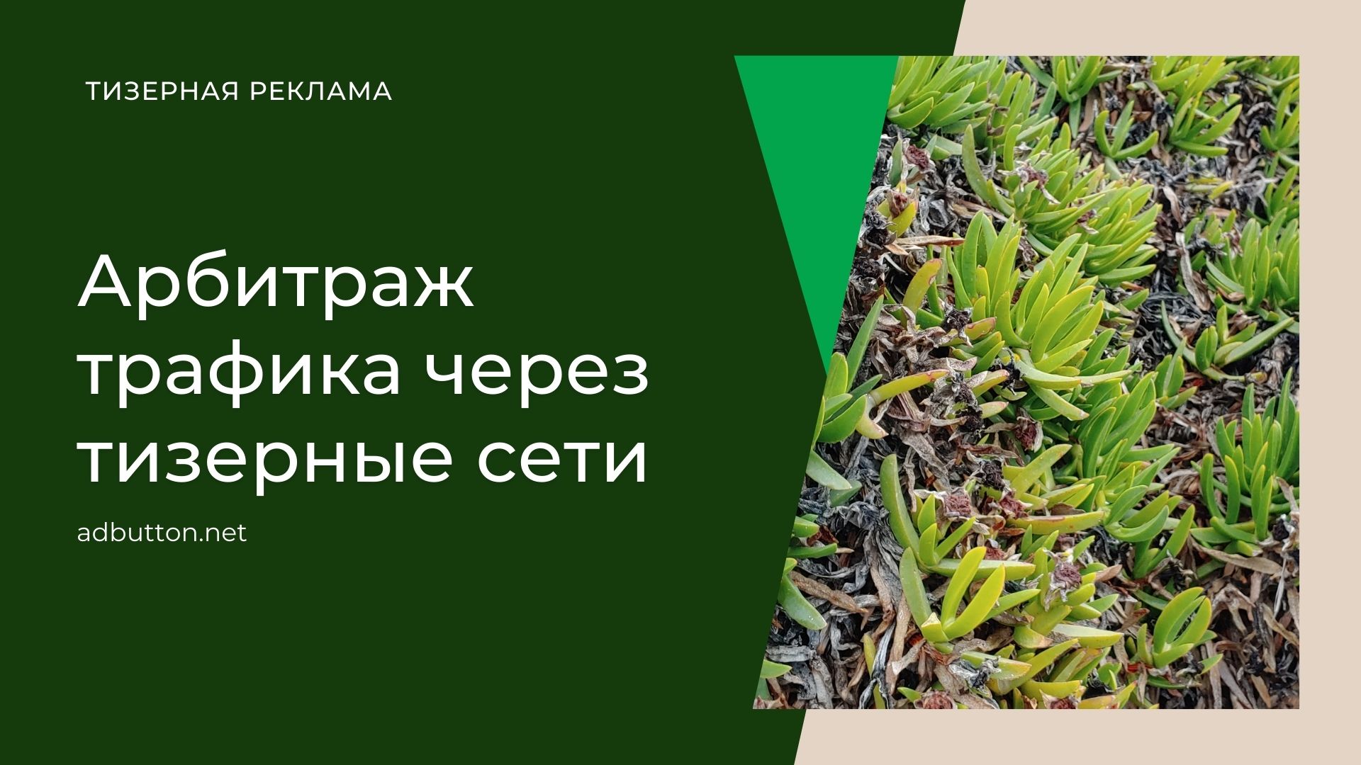 Арбитраж тизерного трафика: какую выбрать сеть новичку Арбитраж тизерного трафика: какую выбрать сеть новичку