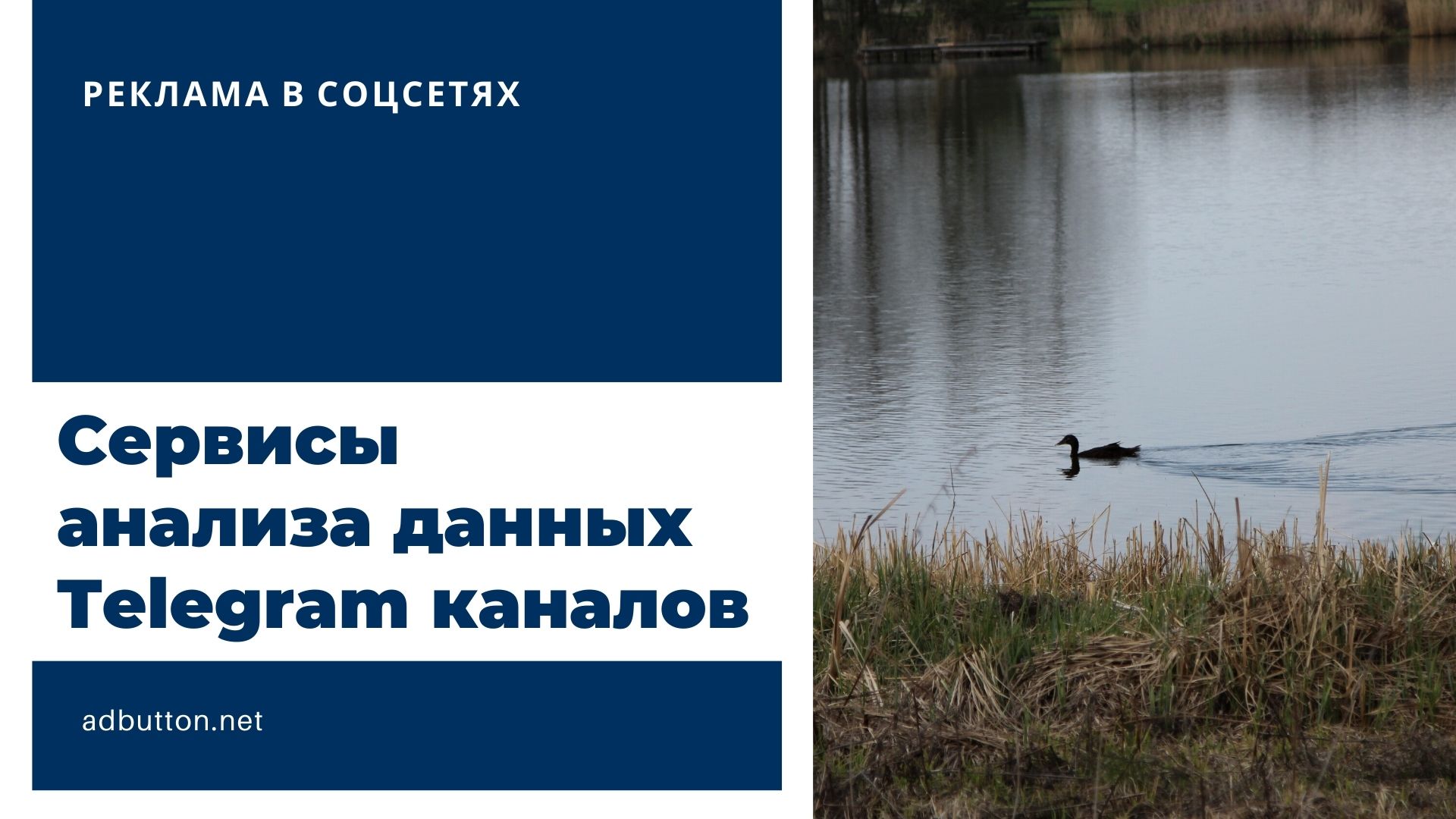 Сервисы анализа данных и оценки качества Telegram каналов
